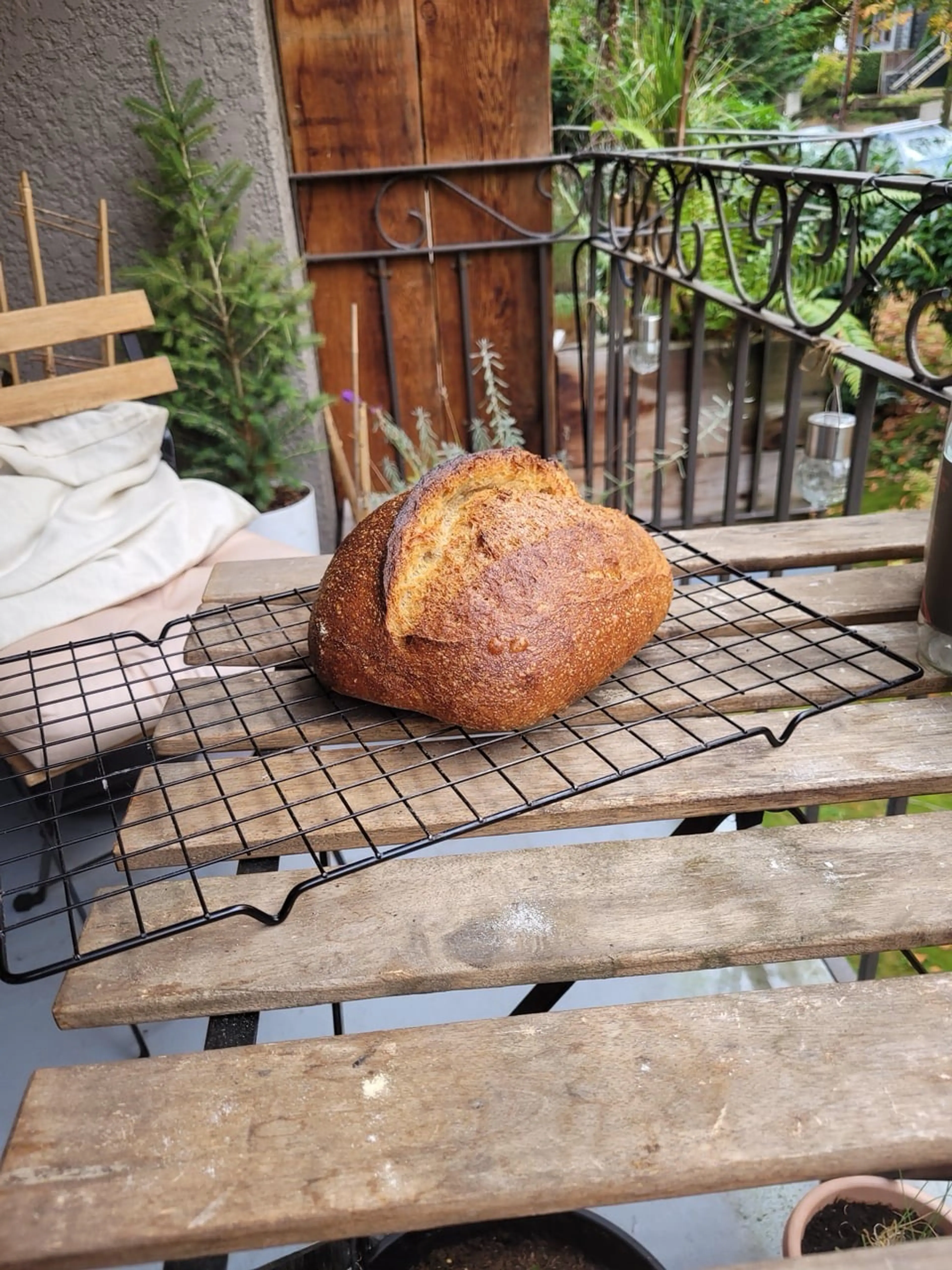 Tartine No3 kamut sourdough