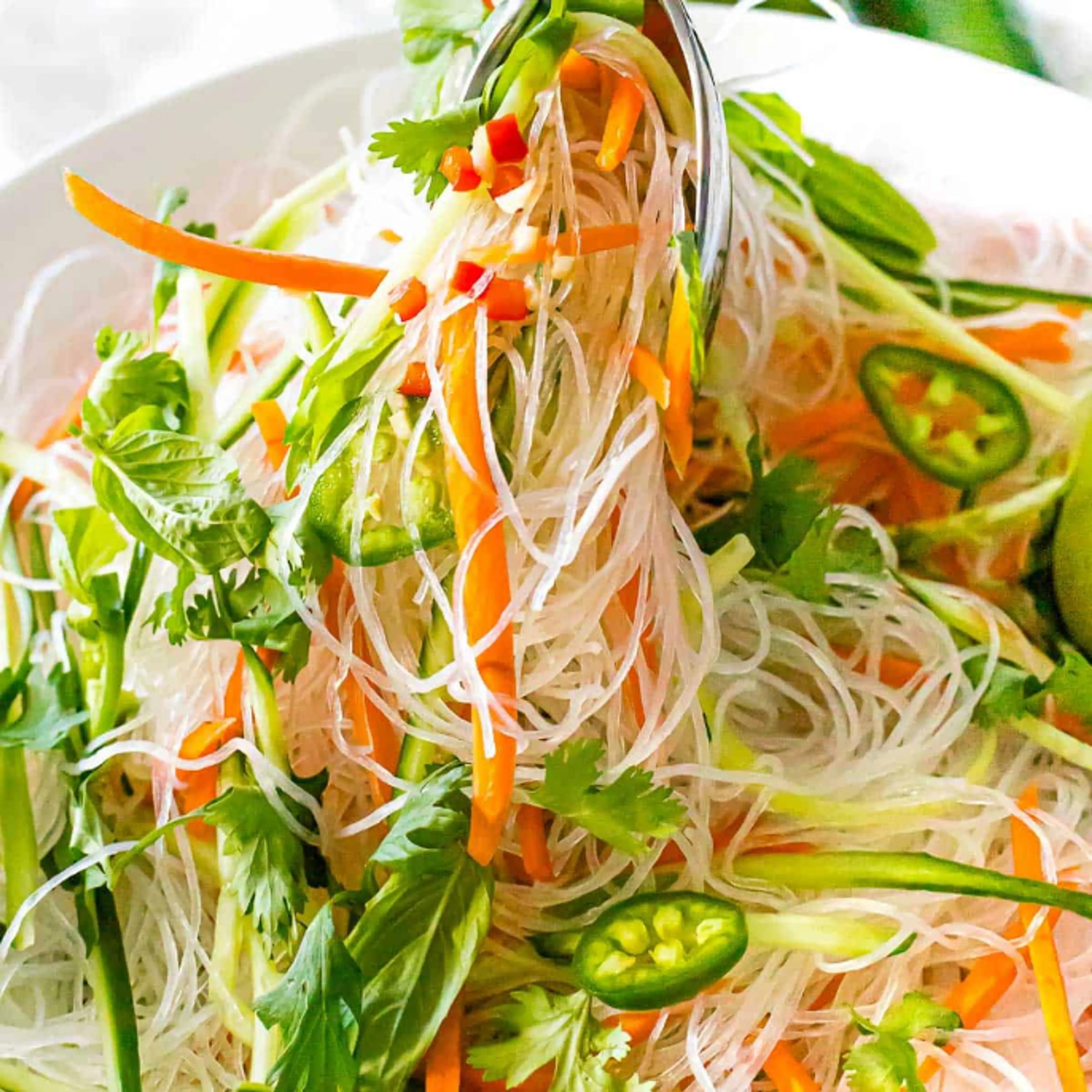 Vietnamese Noodle Salad with Tangy Dressing
