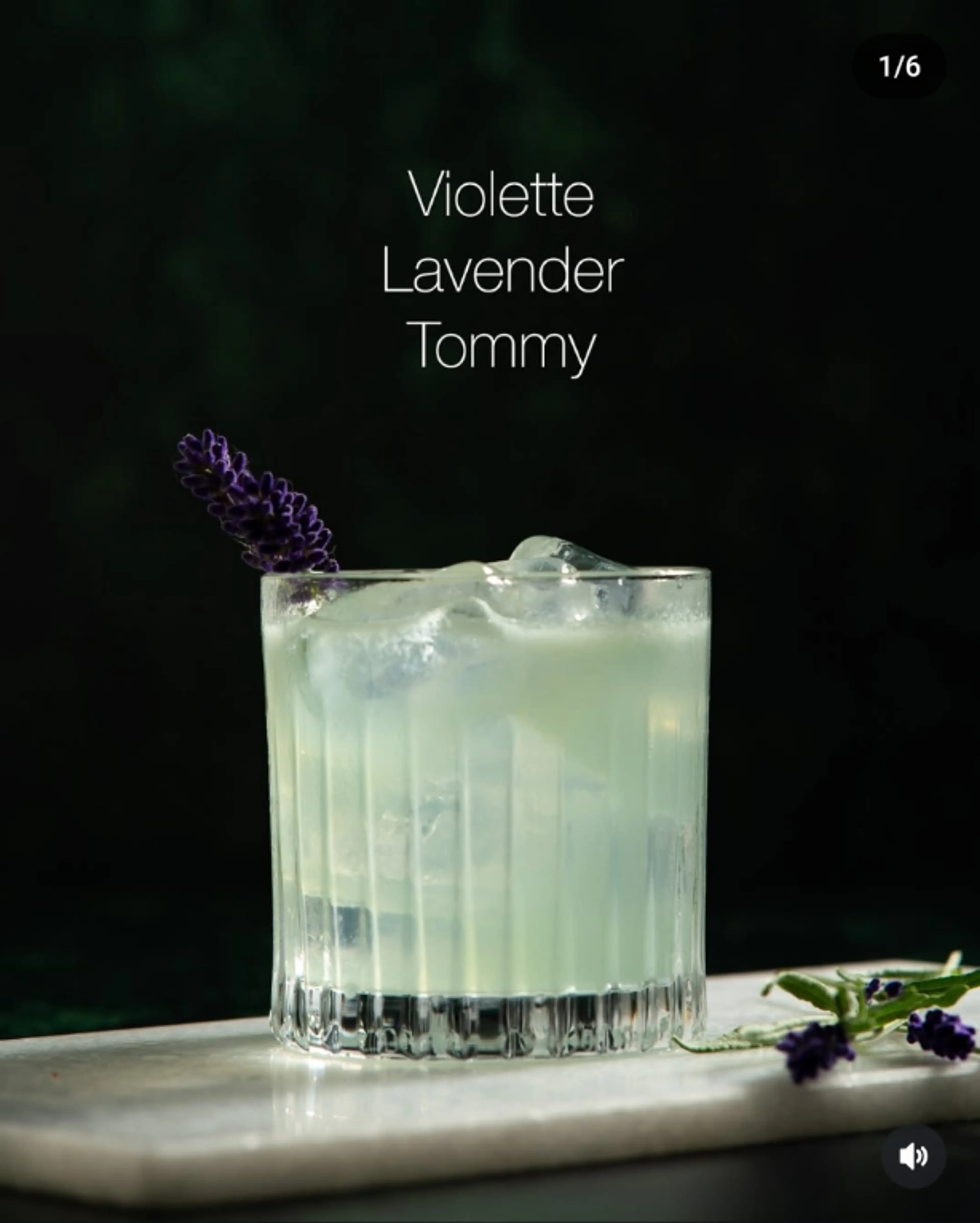 Violette Lavender Tommy