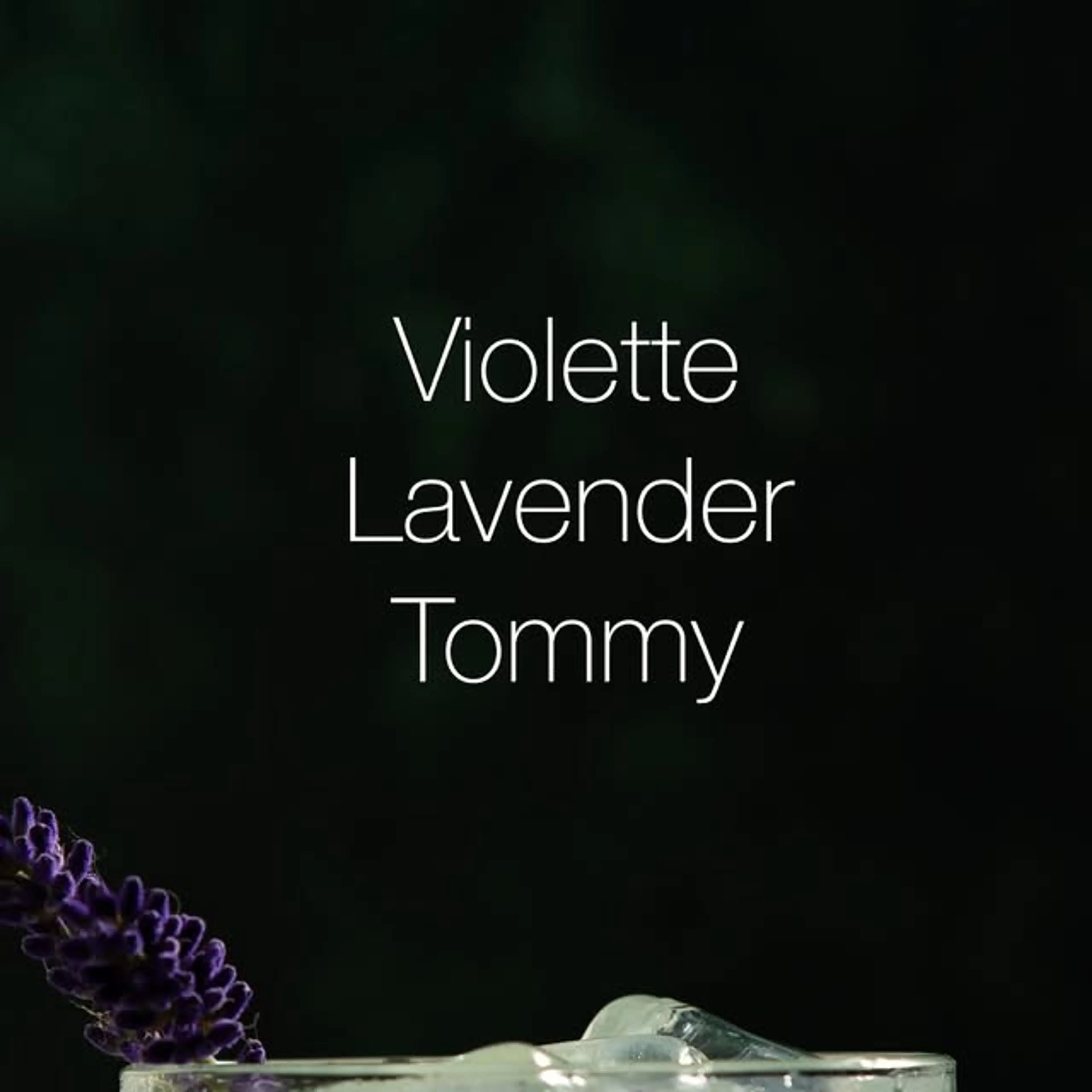 Violette Lavender Tommy