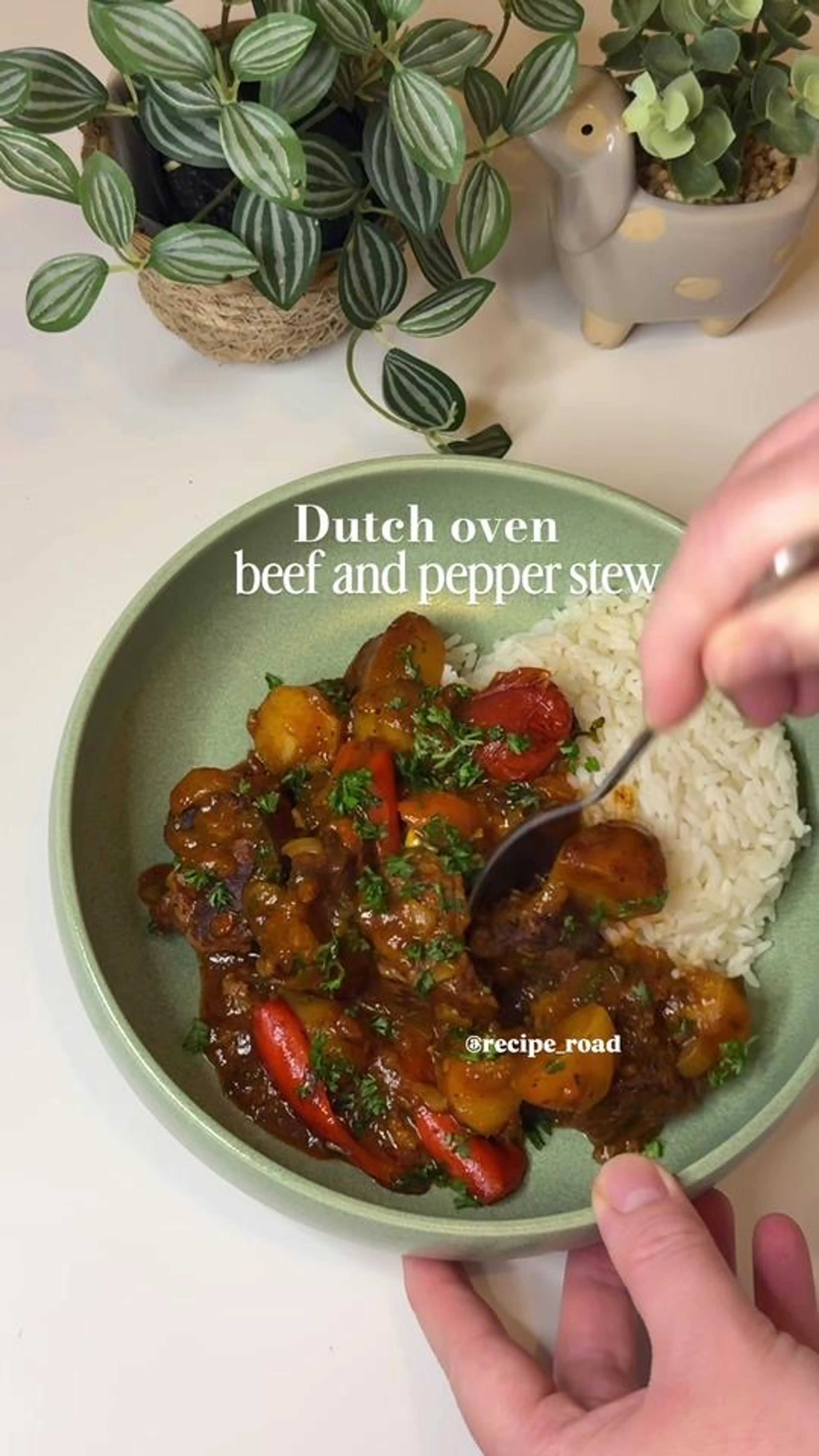 Dutch Oven Beef and Pepper Stew