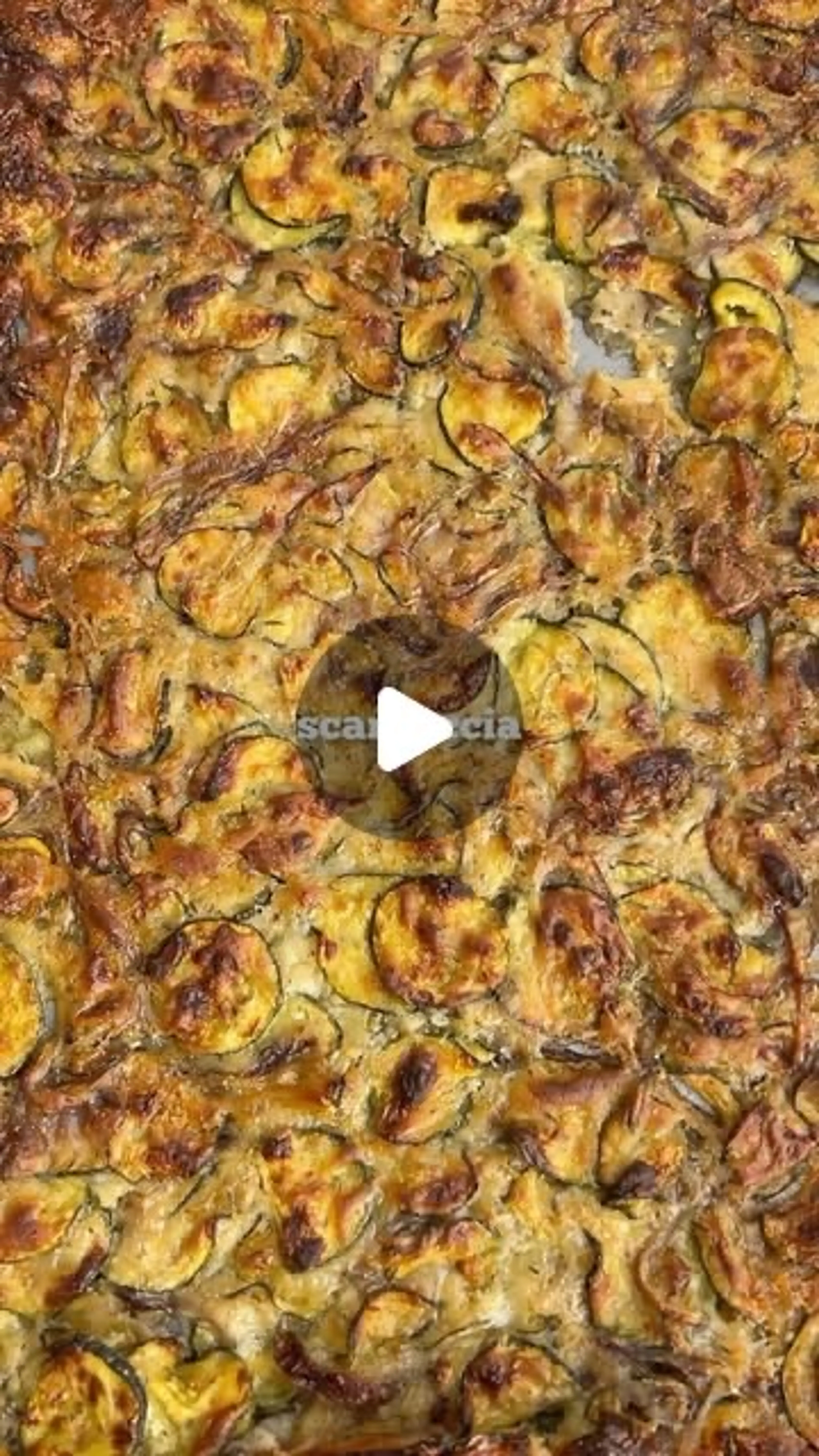 Courgette Scarpaccia