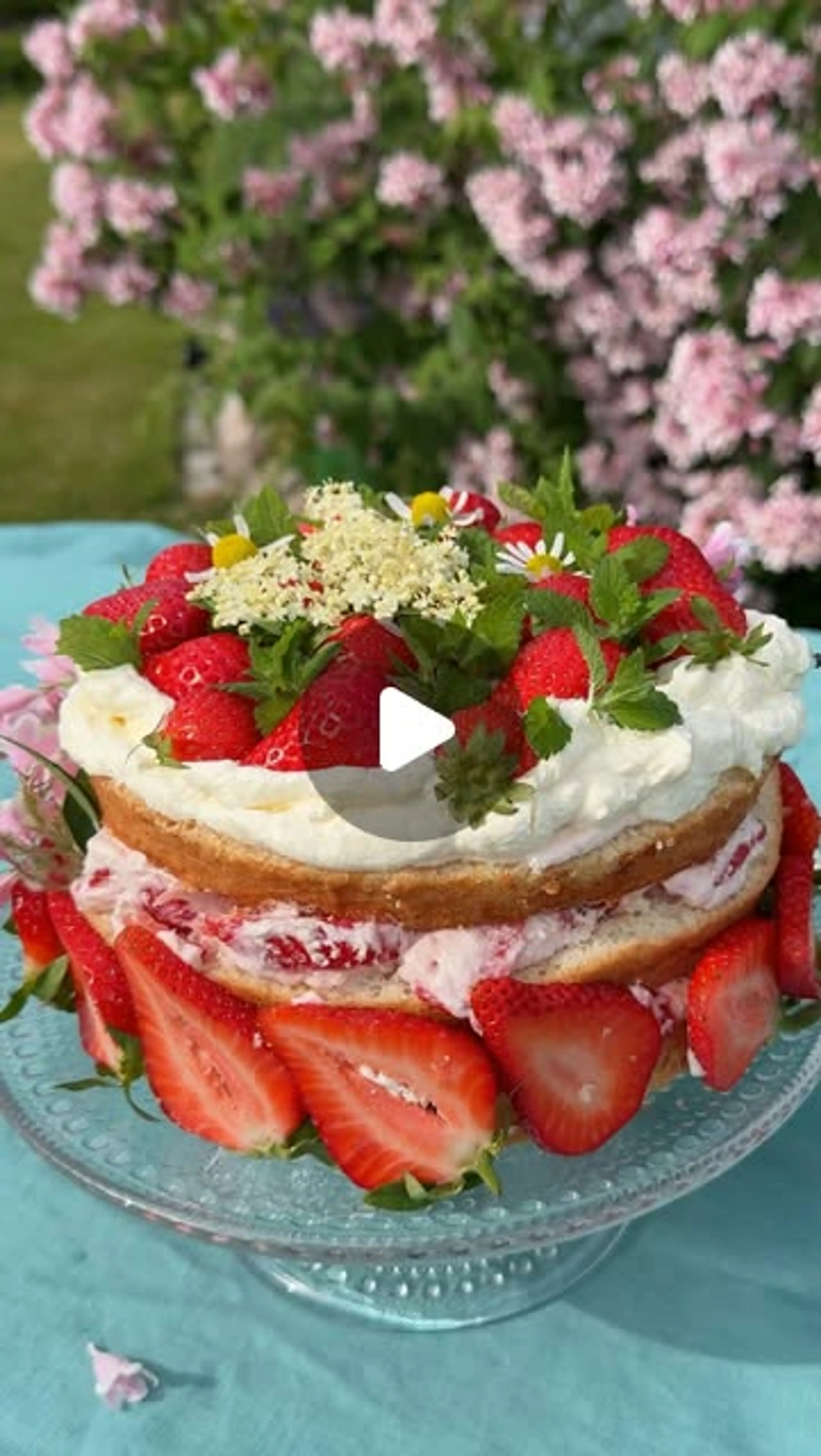 Swedish Strawberry Cake