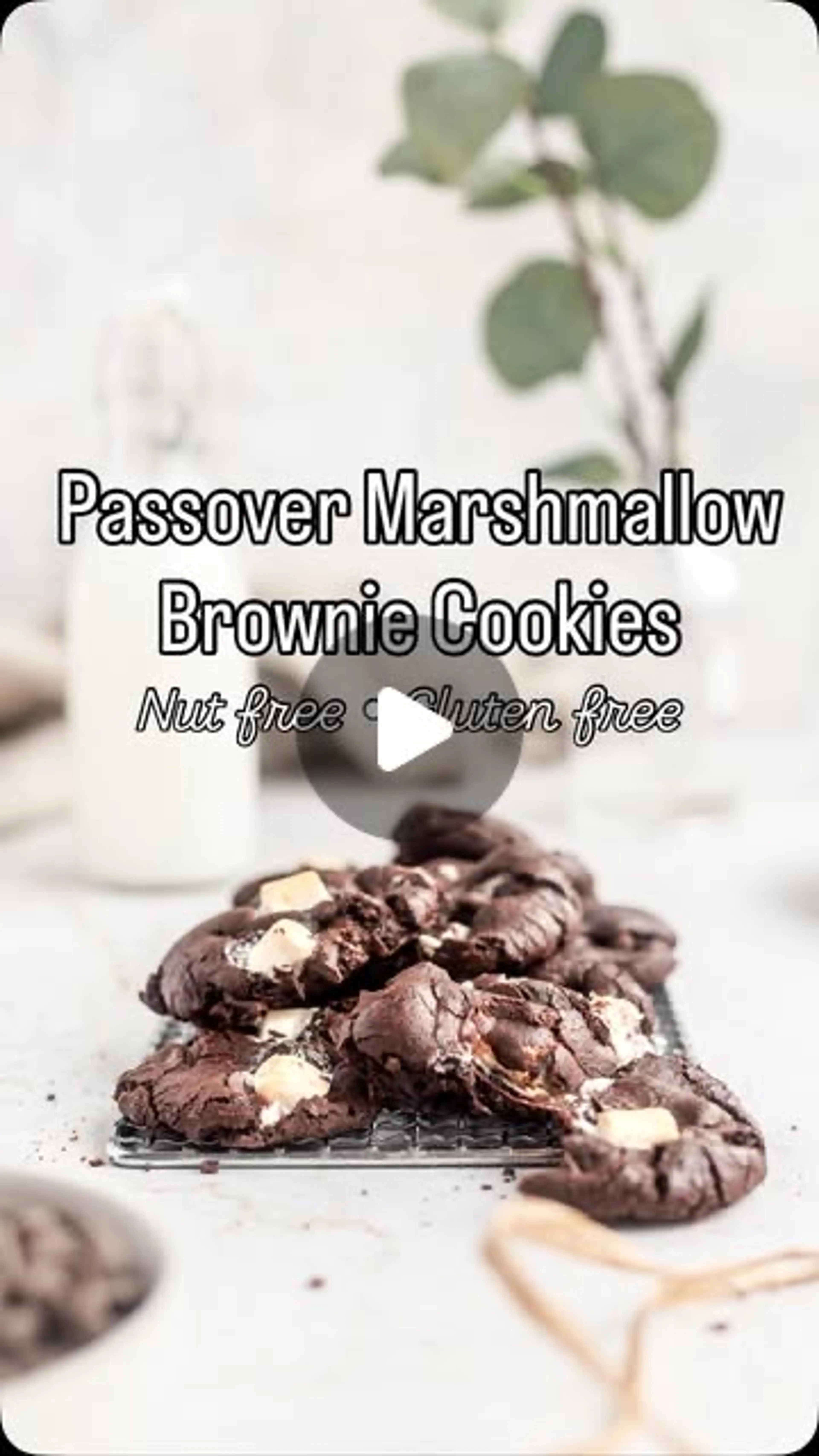 Passover Brownie Cookies Are Back