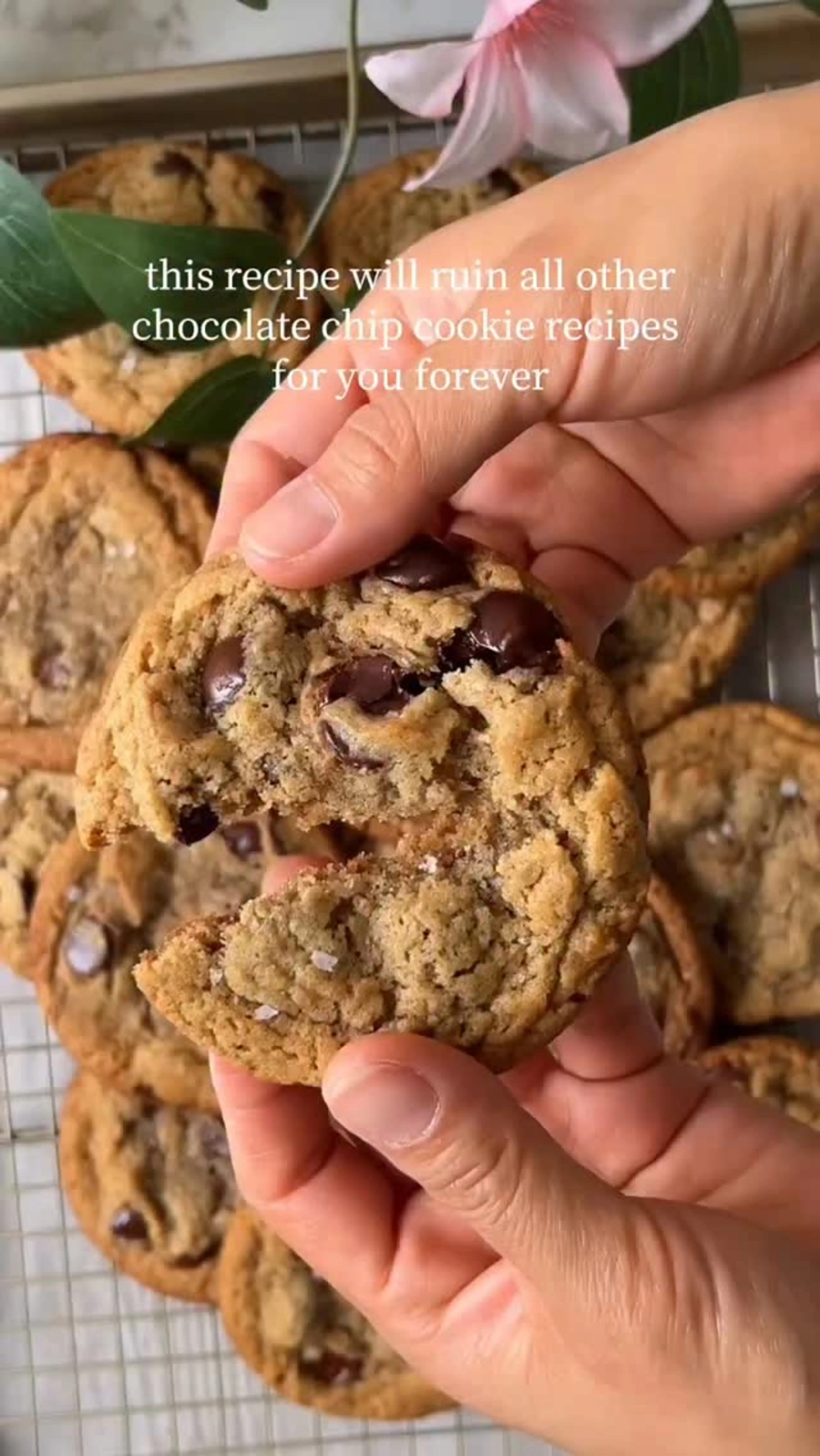 Chocolate Chip Cookies