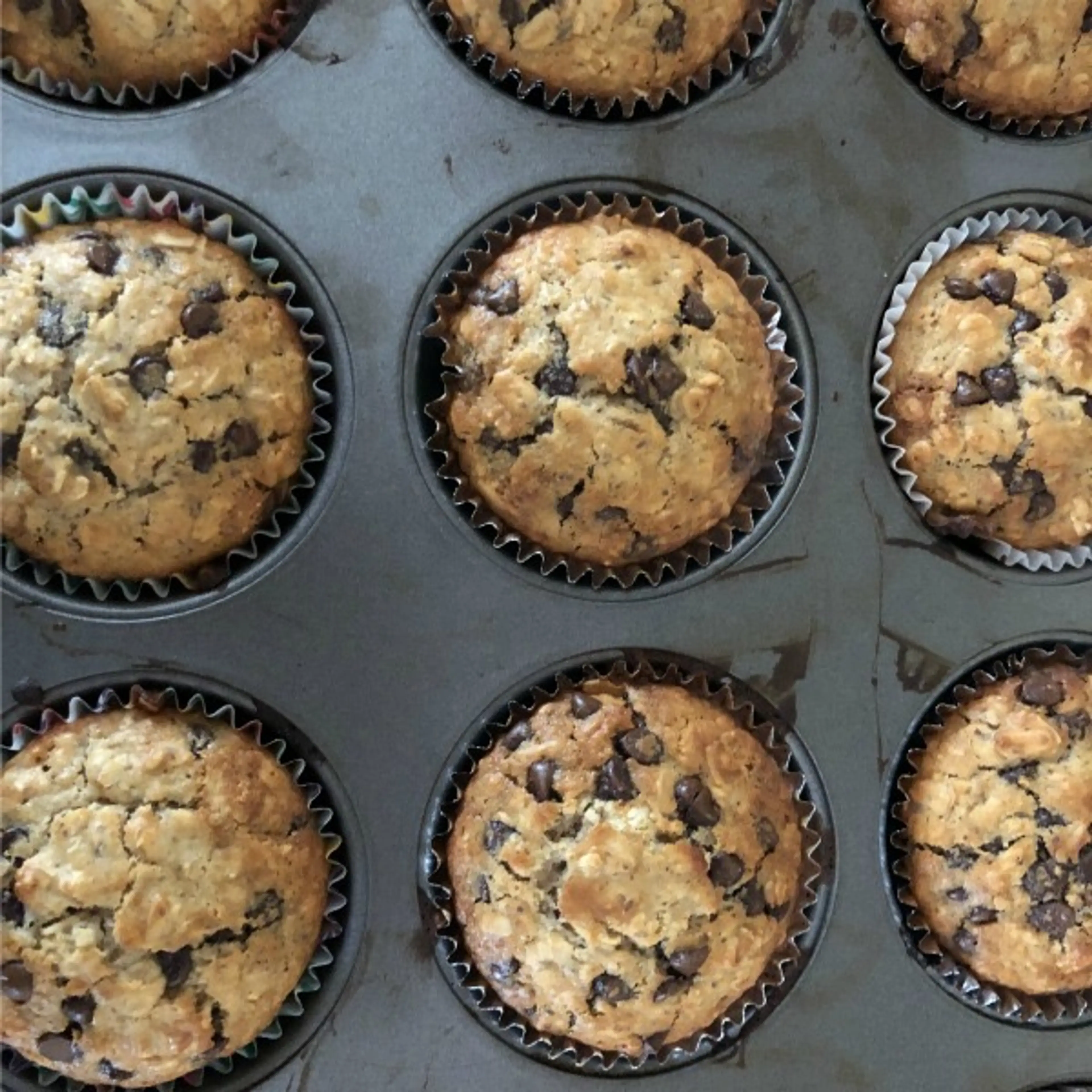 Chocolate Chip Lactation Muffins