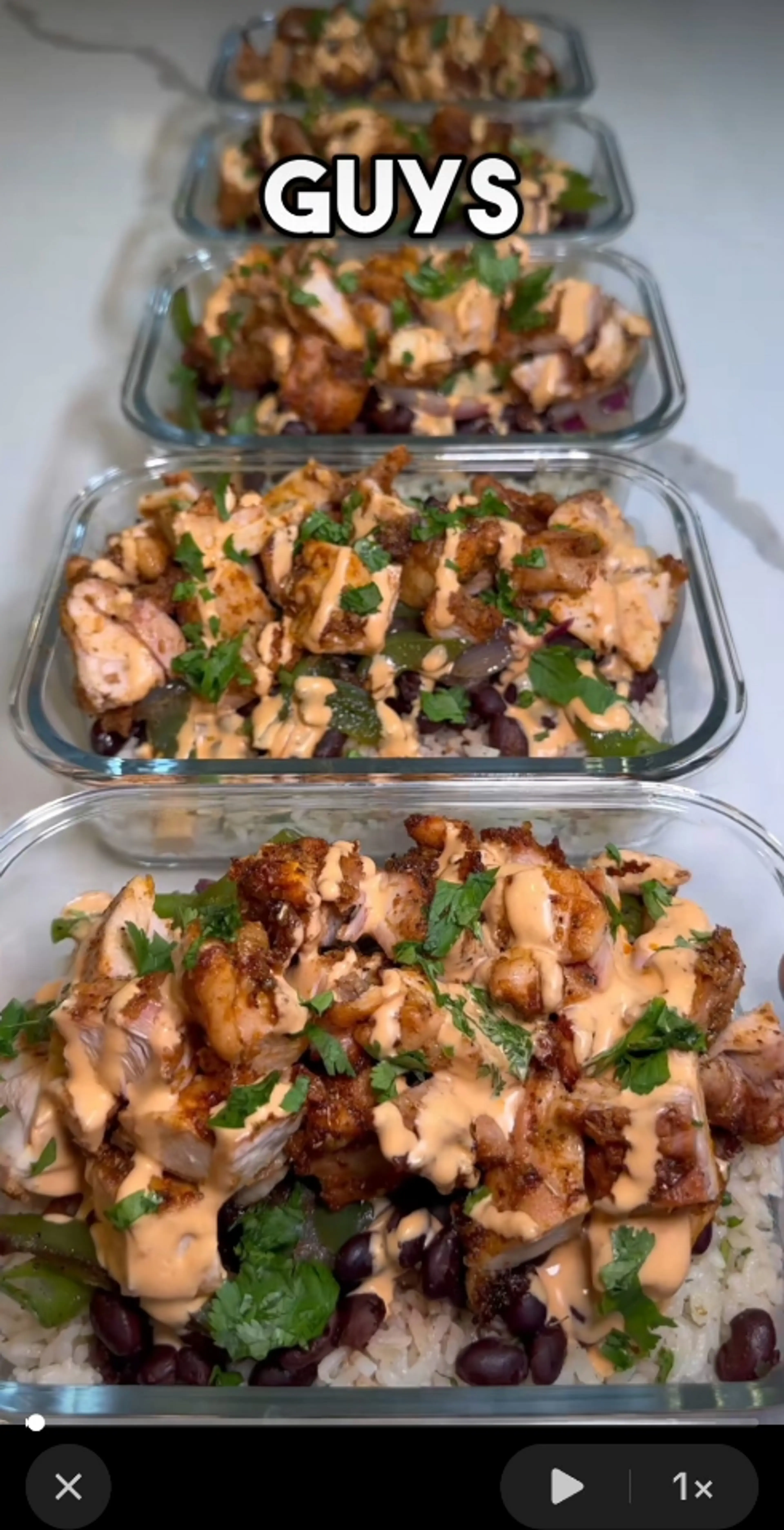 Spicy Seasoned Chicken w/ Cilantro Rice