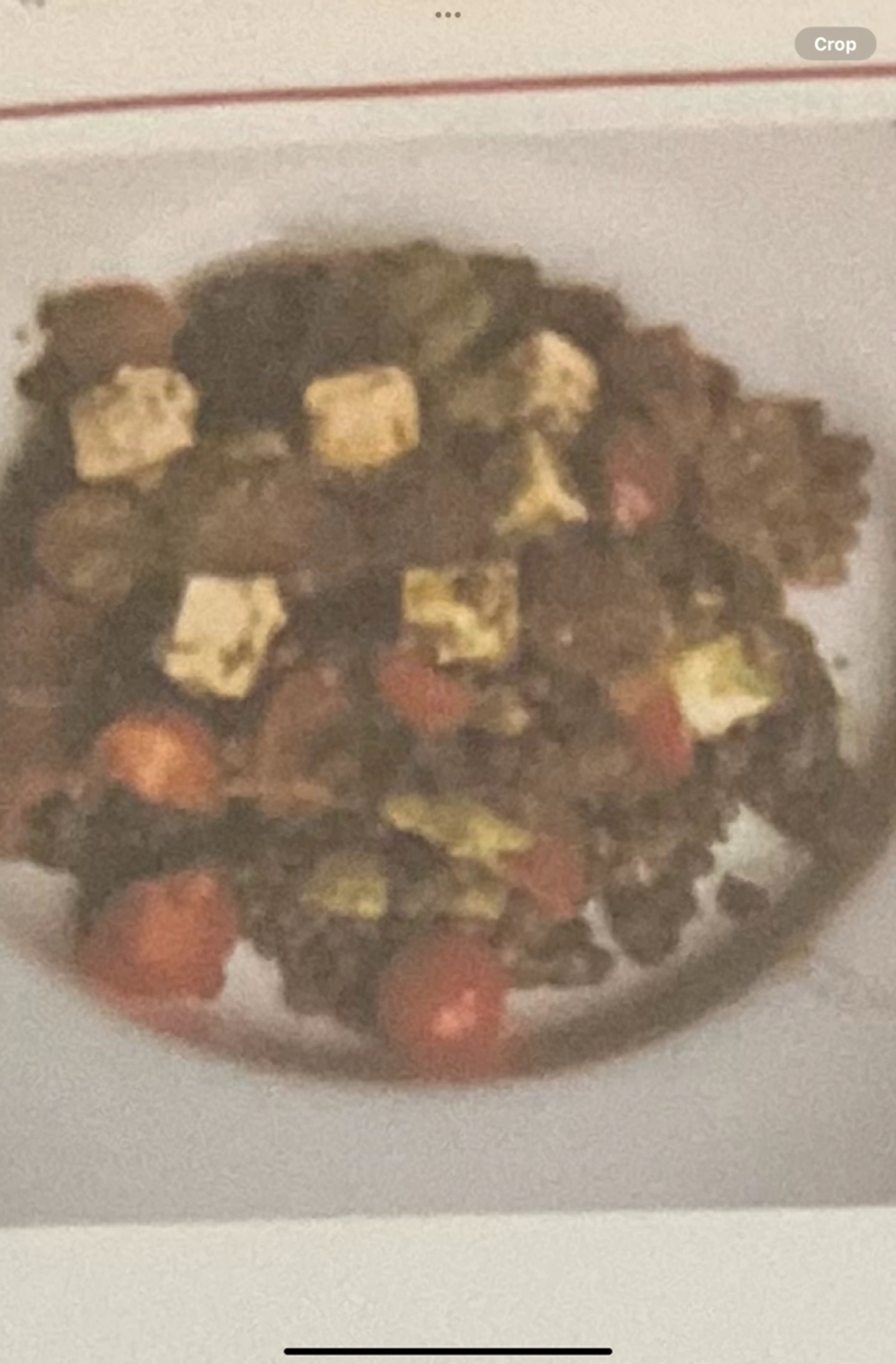 Salade de lentilles vertes