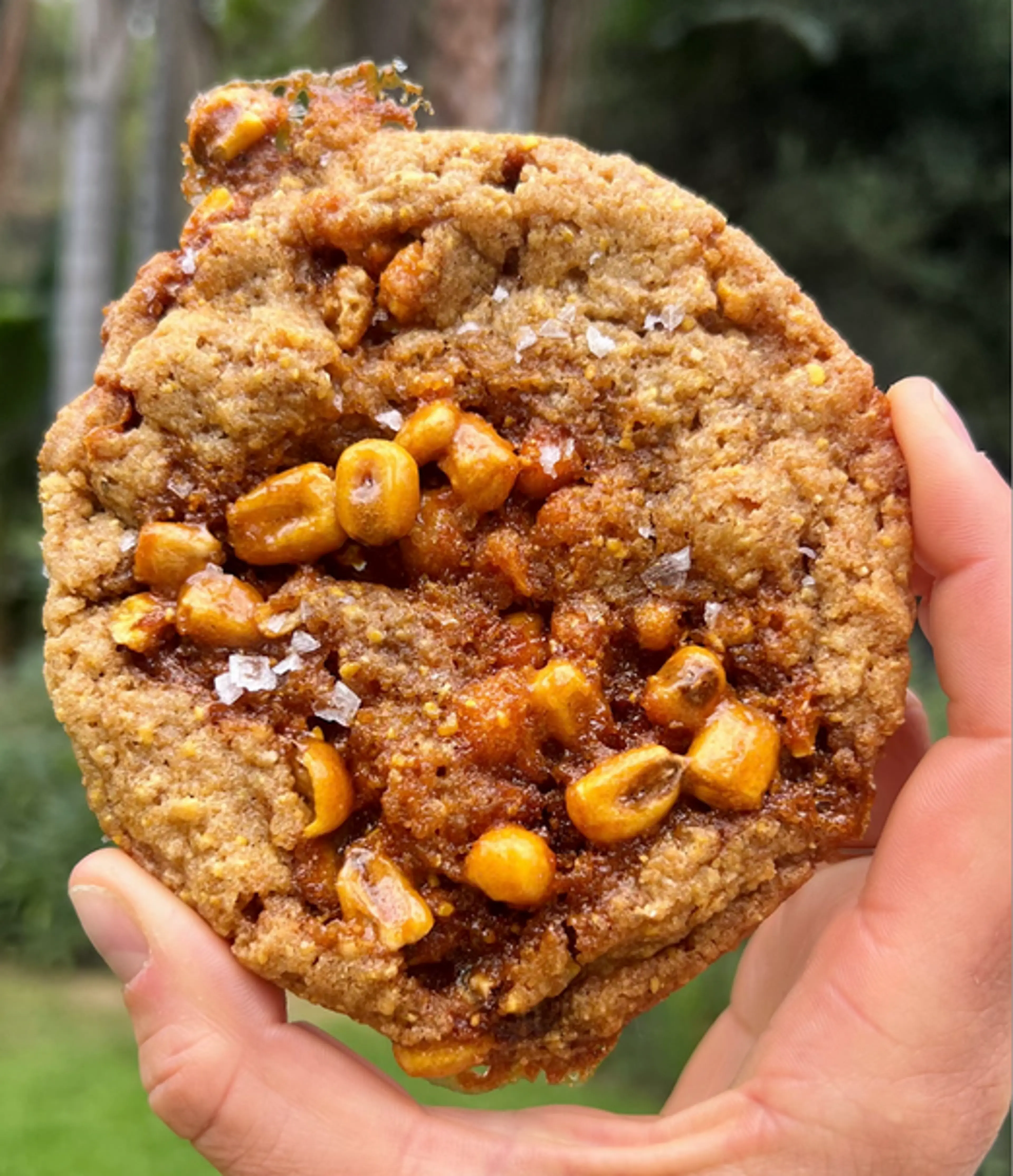 Corn Nut Brittle Cookies
