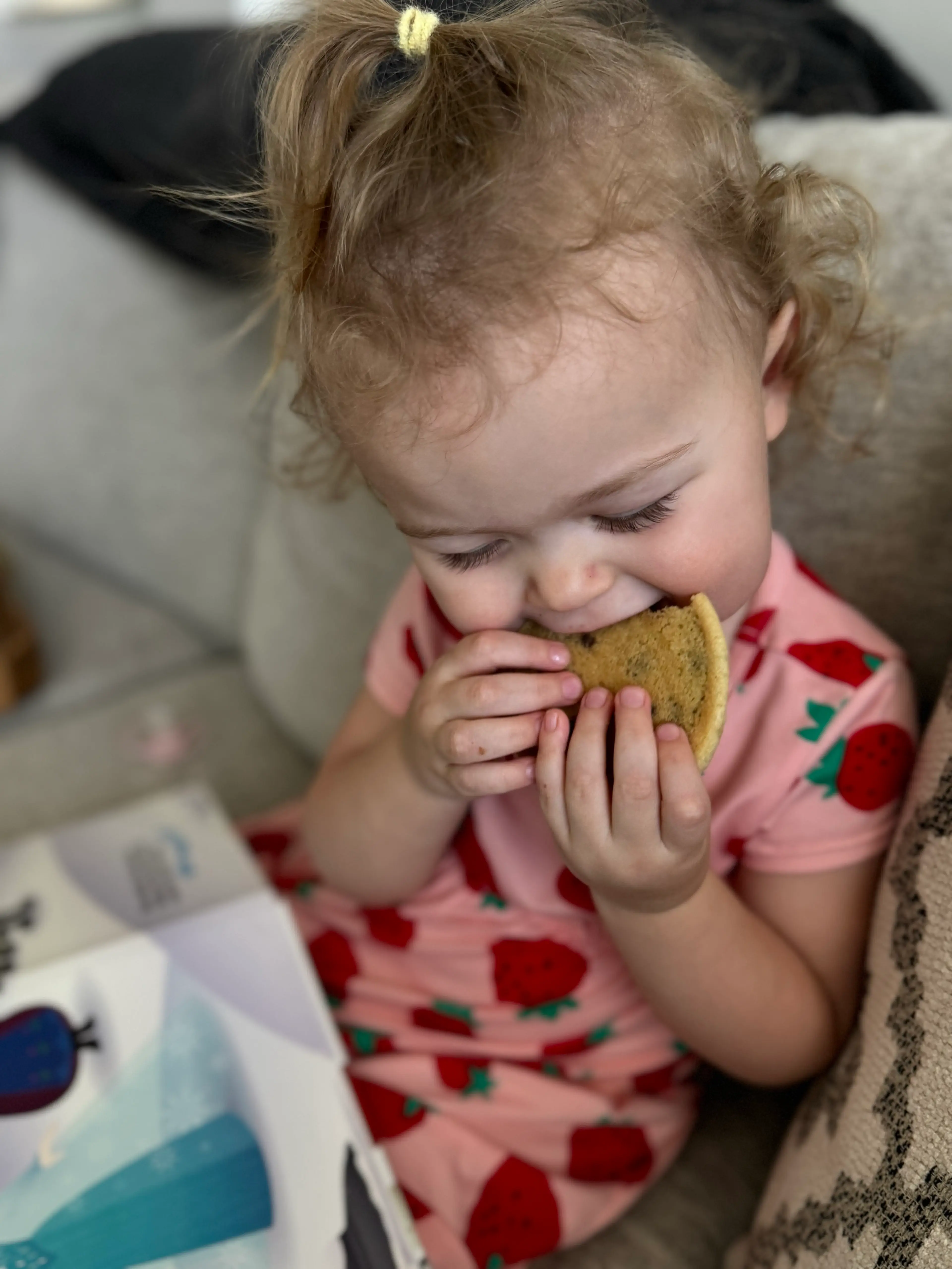 Tried & True Chocolate Chip Cookies
