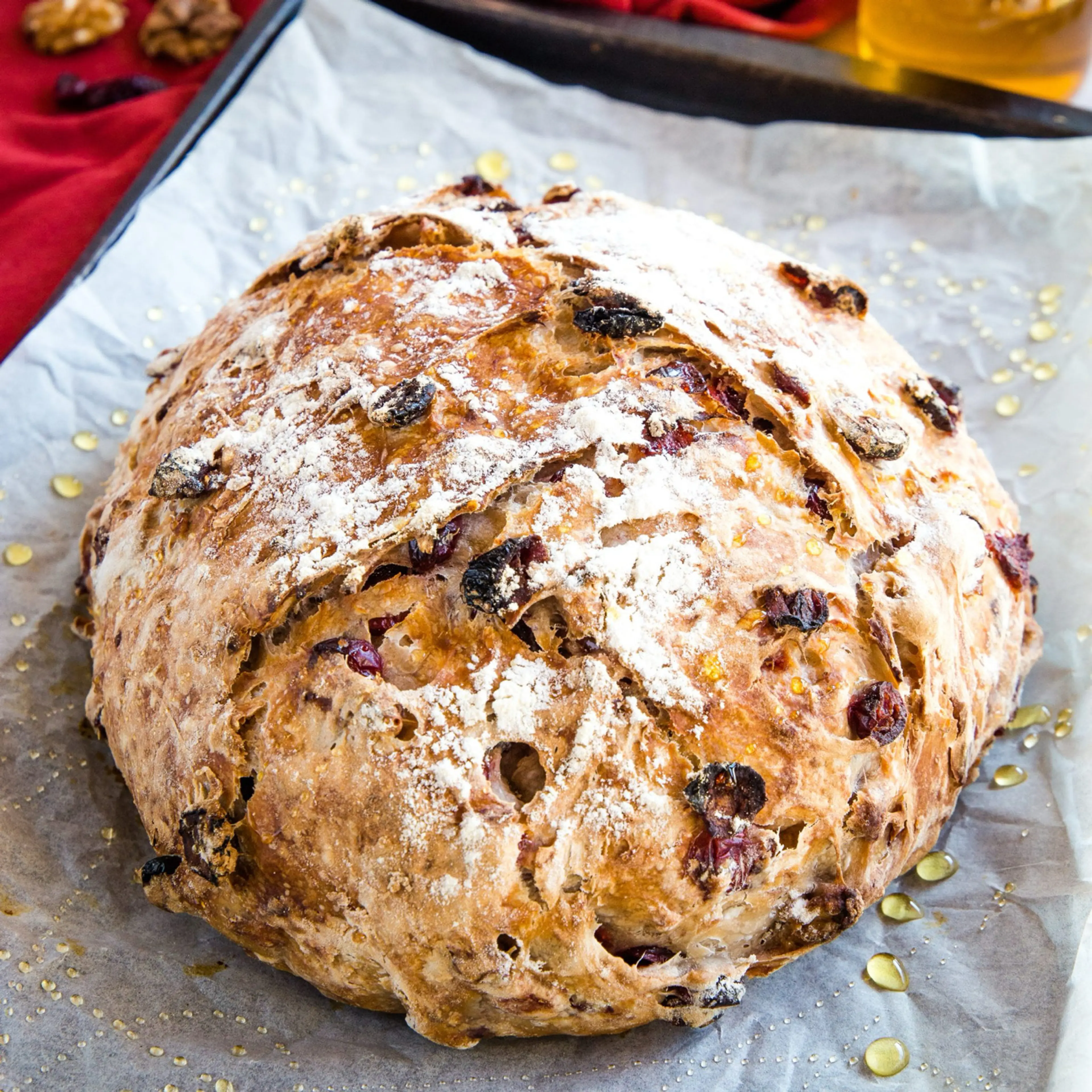 No-Knead Cranberry Walnut Bread with Honey