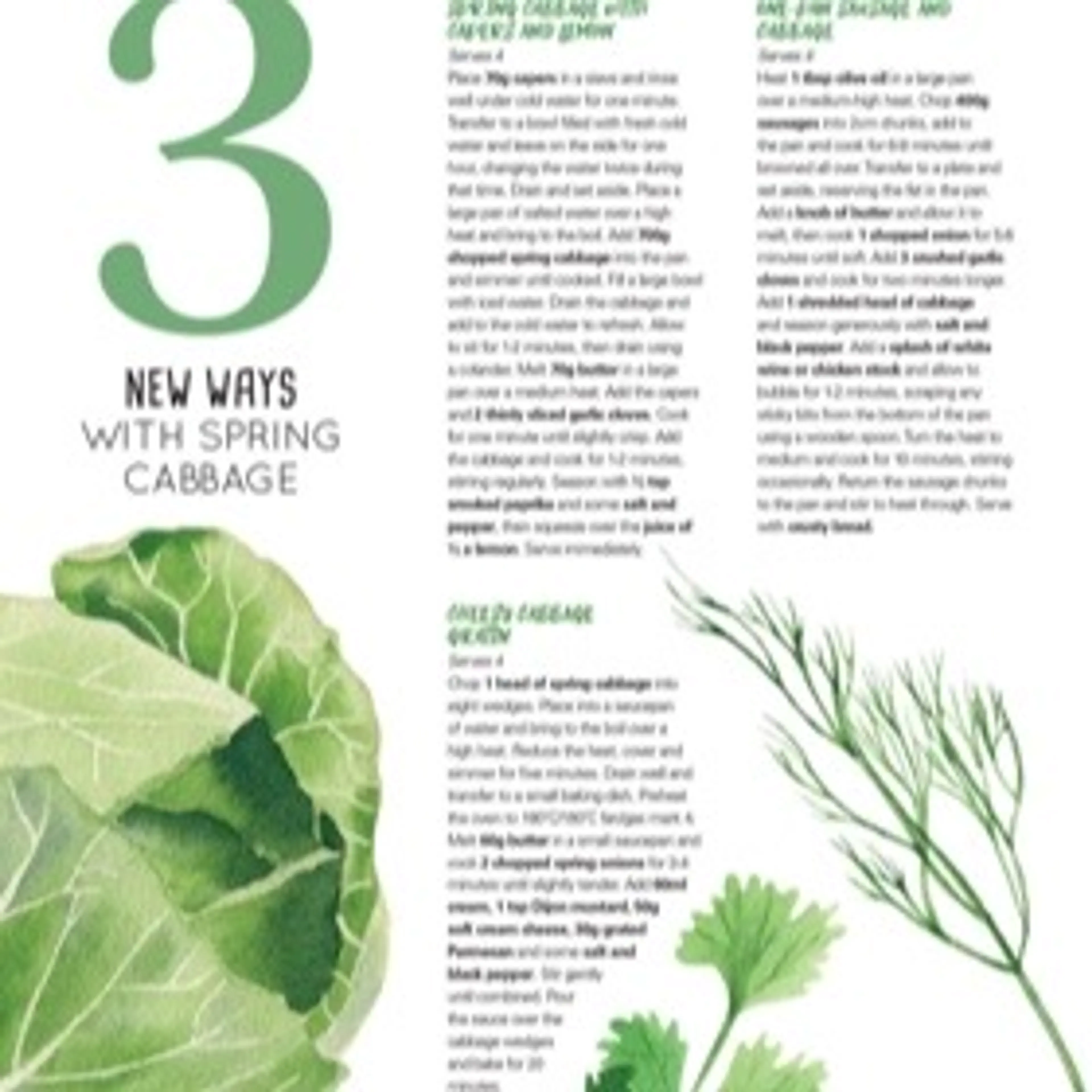 Ways With Cabbage