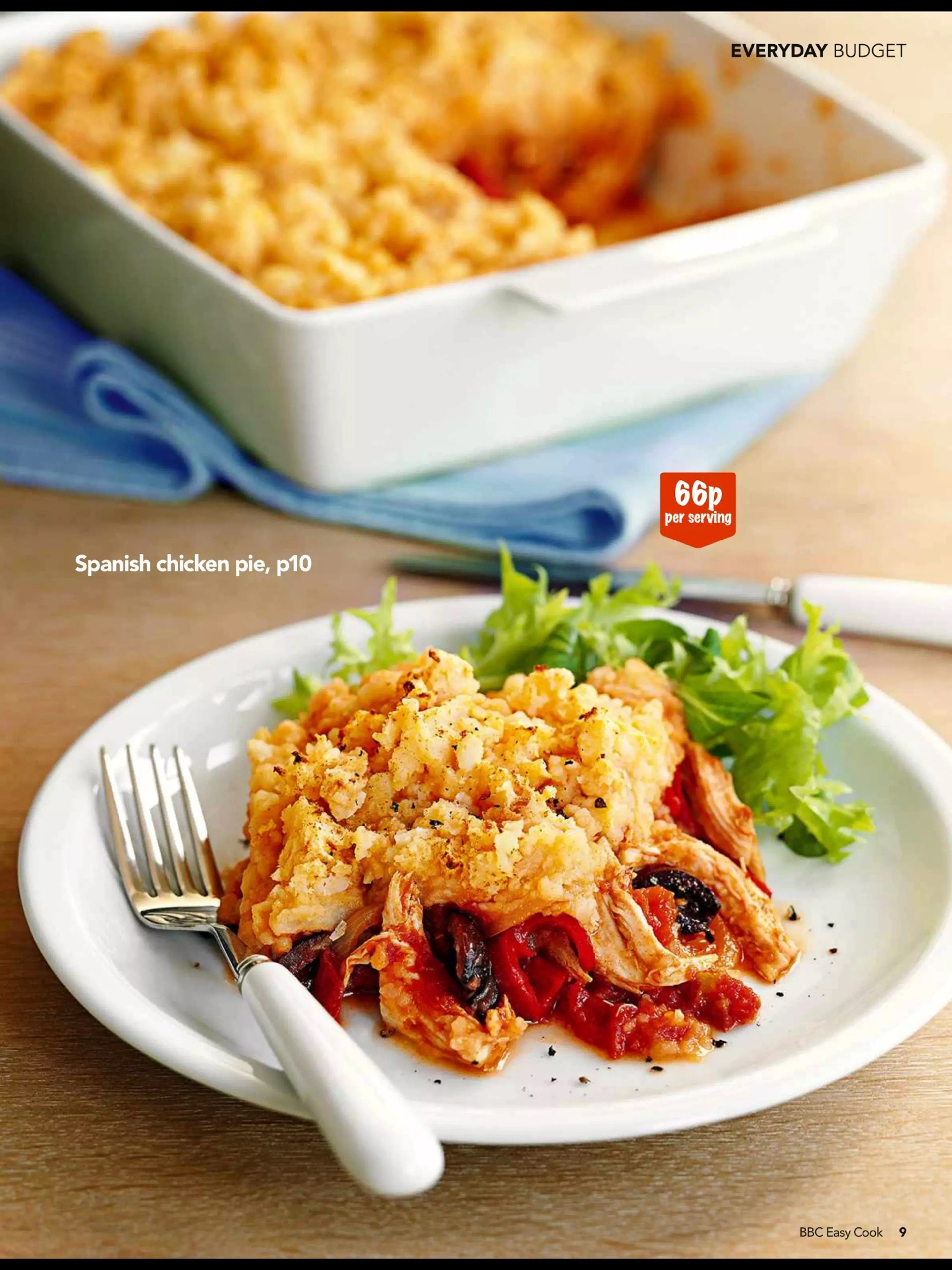 Spanish chicken pie