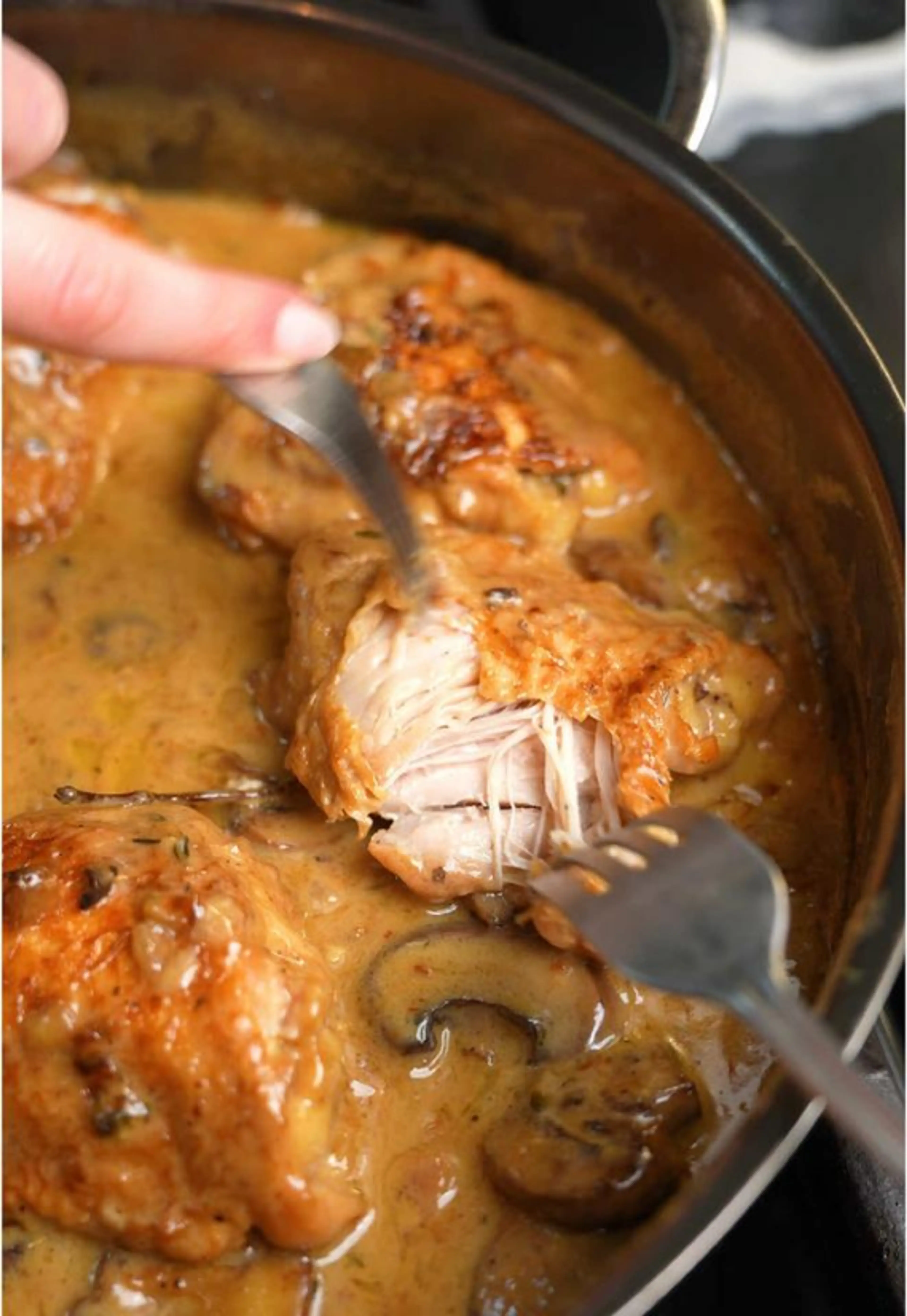 Chicken Fricasse