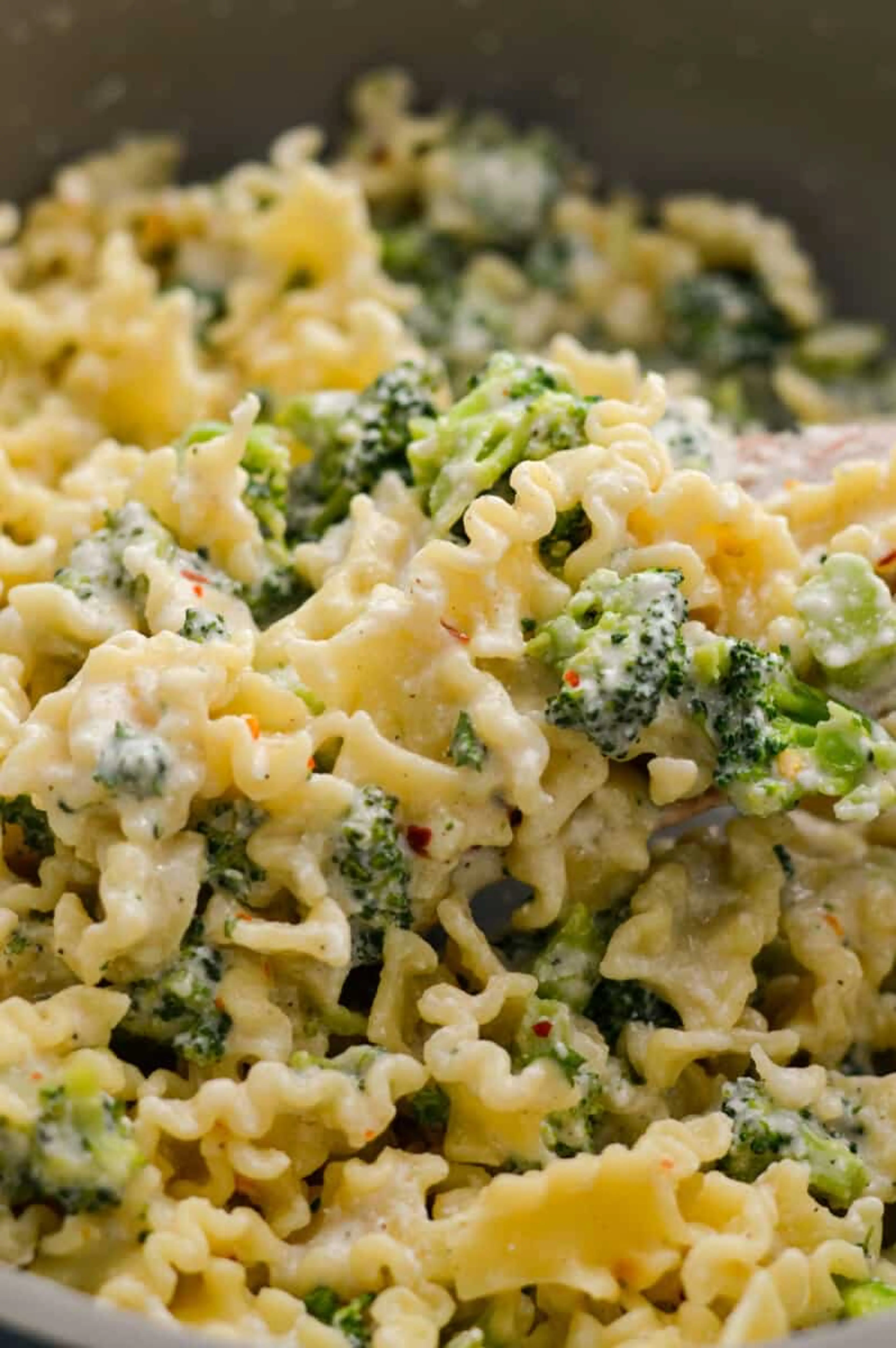 Cottage Cheese Alfredo Pasta