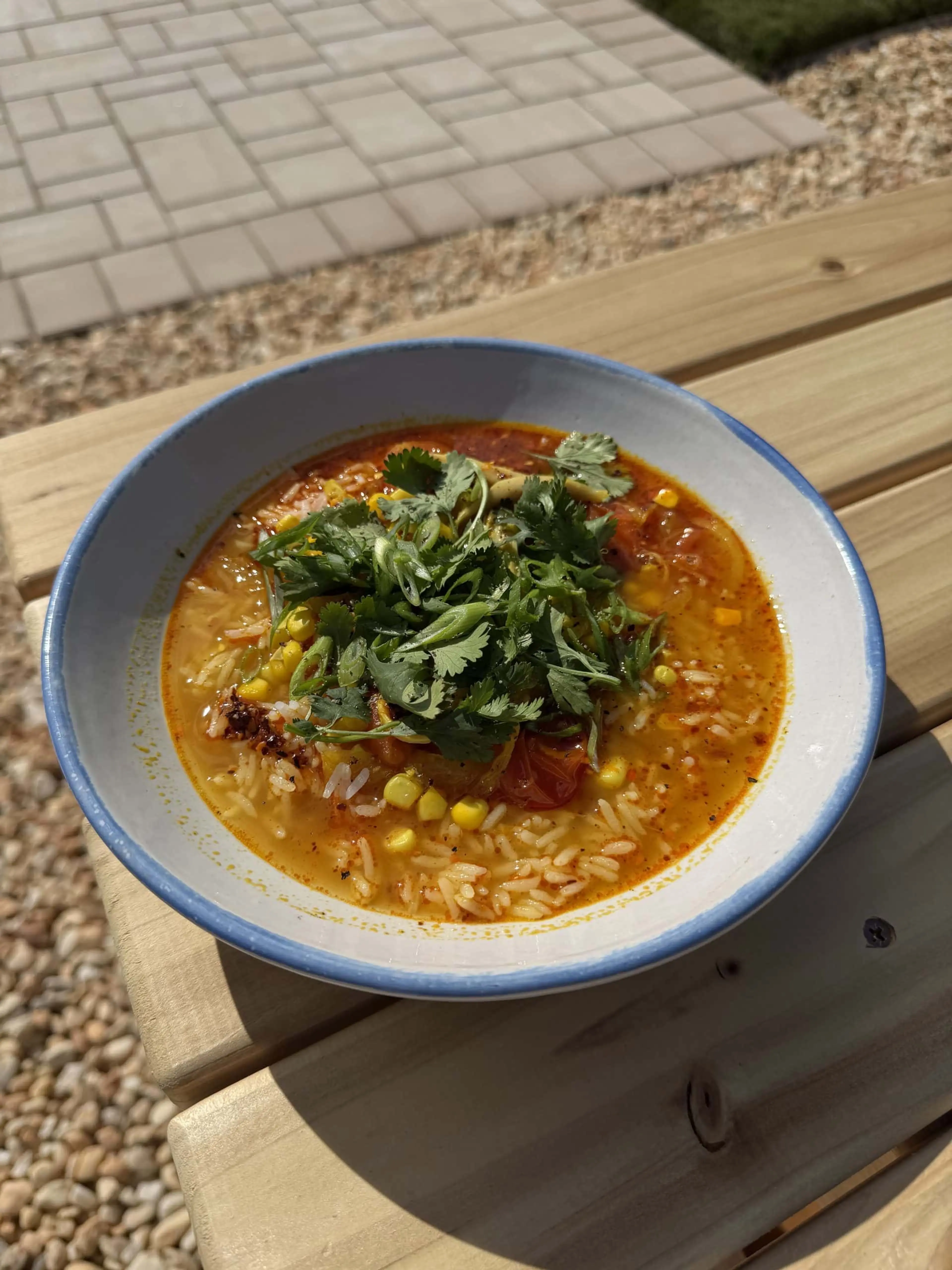 Summery Chicken and Rice Soup