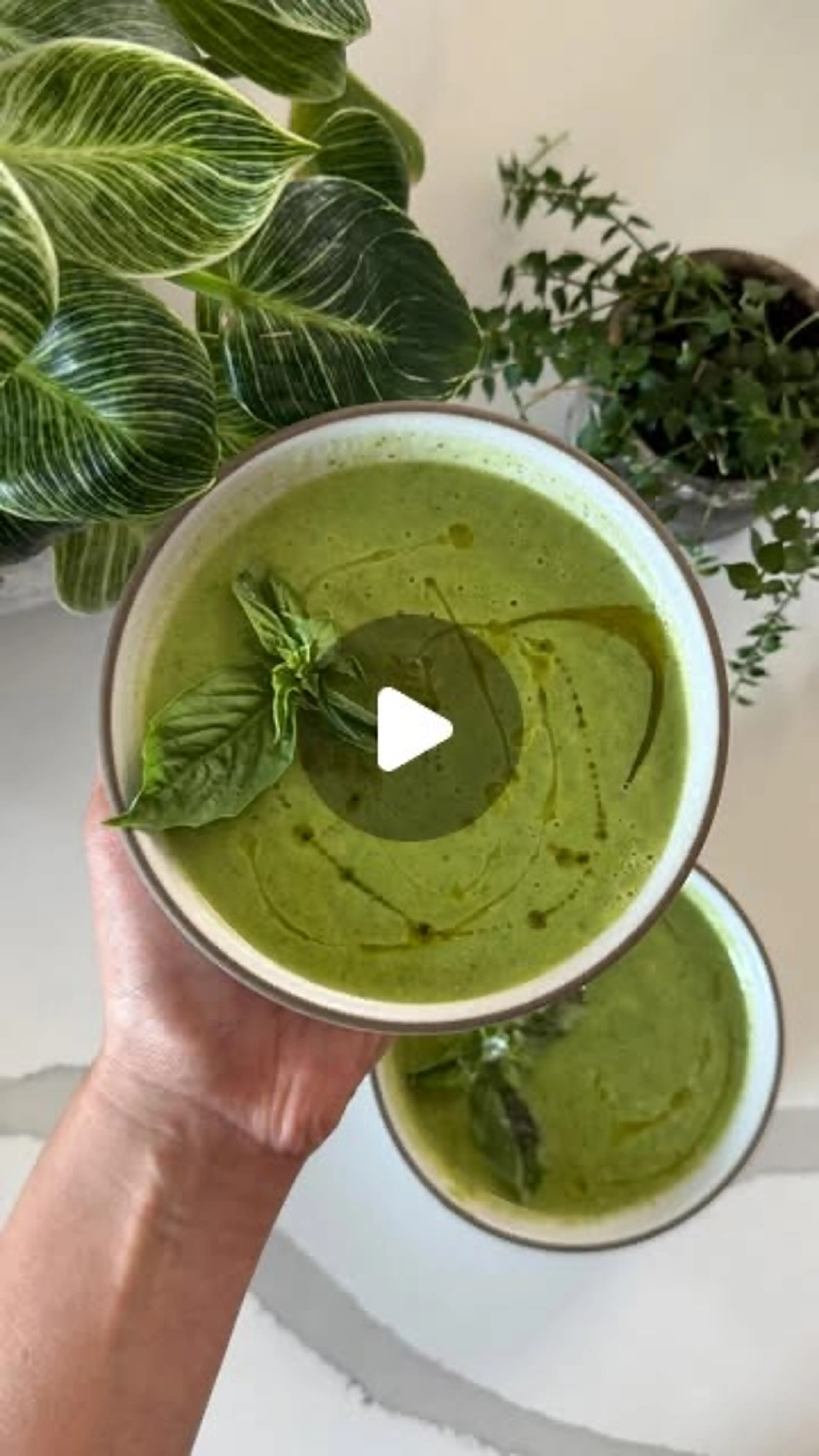 Healthy Zucchini Basil Soup