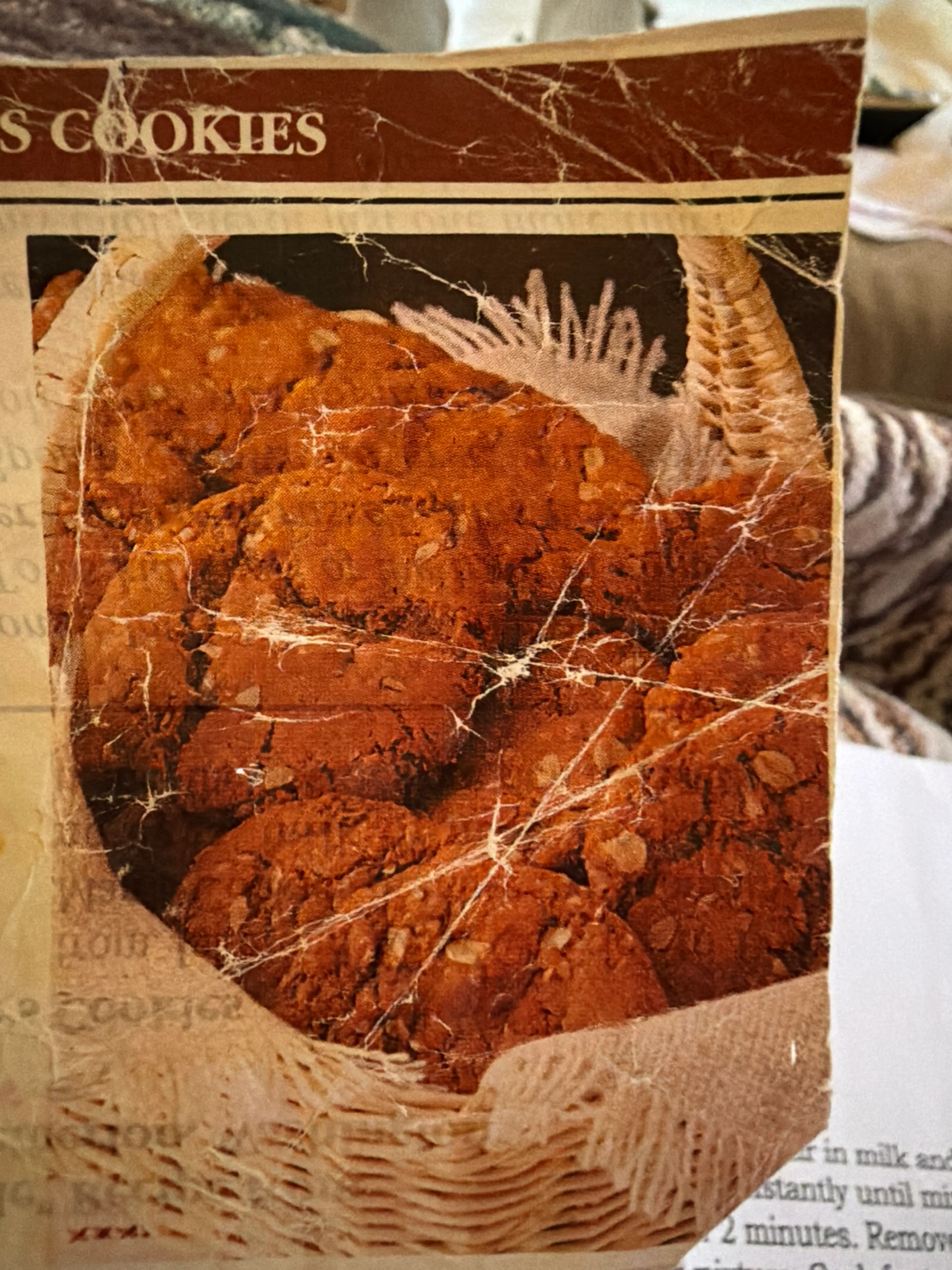 Poor Man’s Cookies