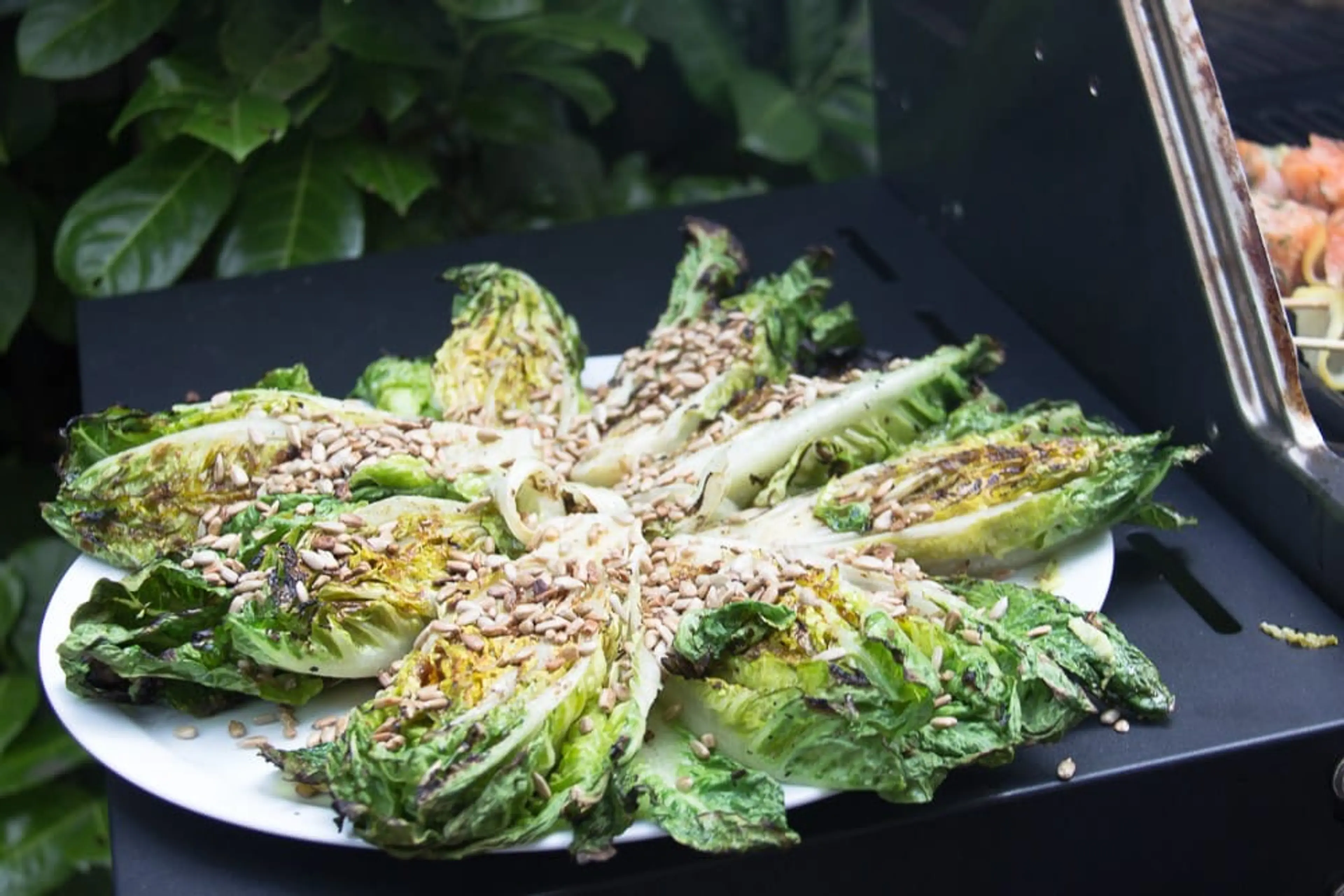 Gegrillter Salat