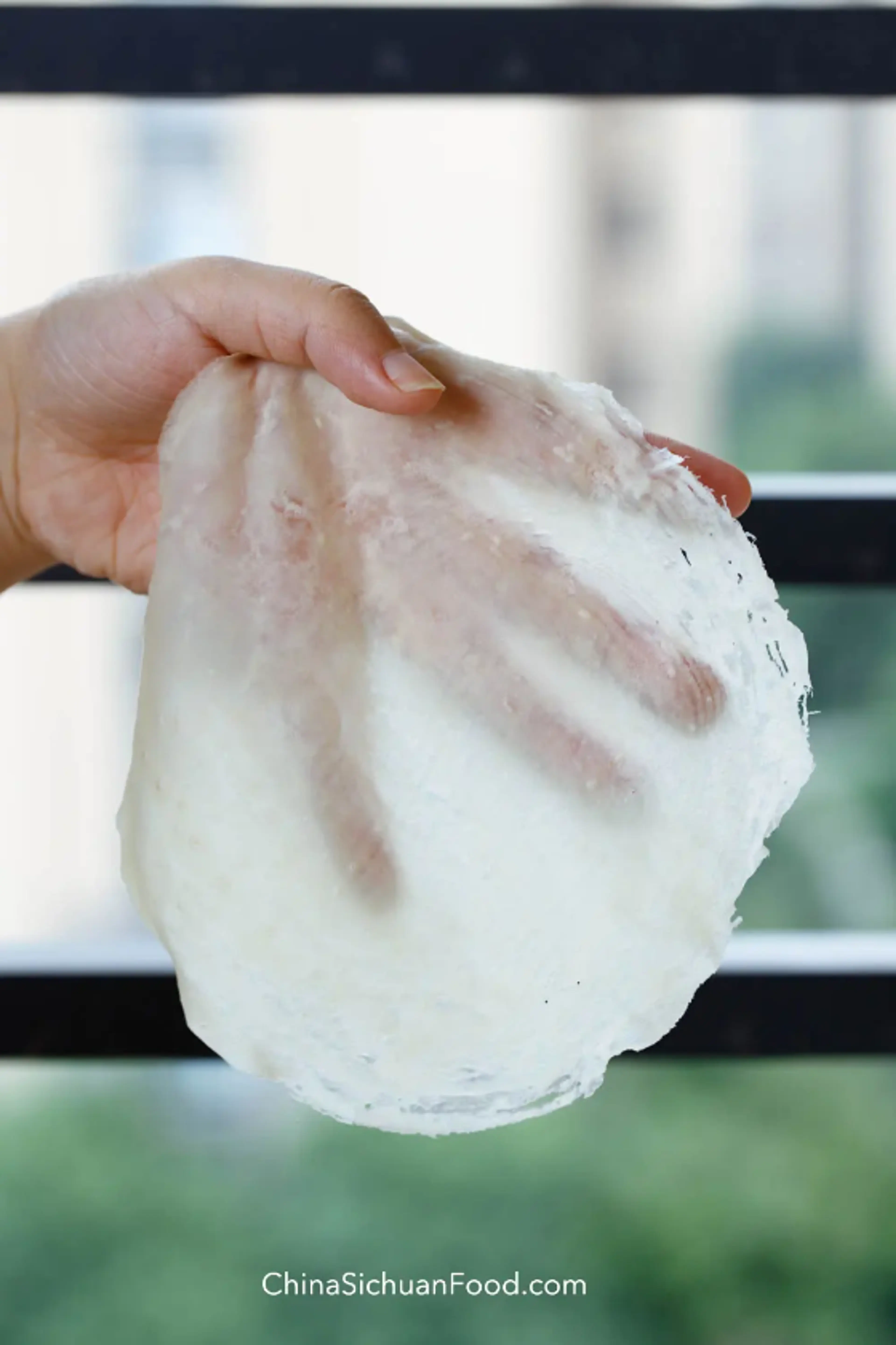 Easy Spring Roll Wrappers
