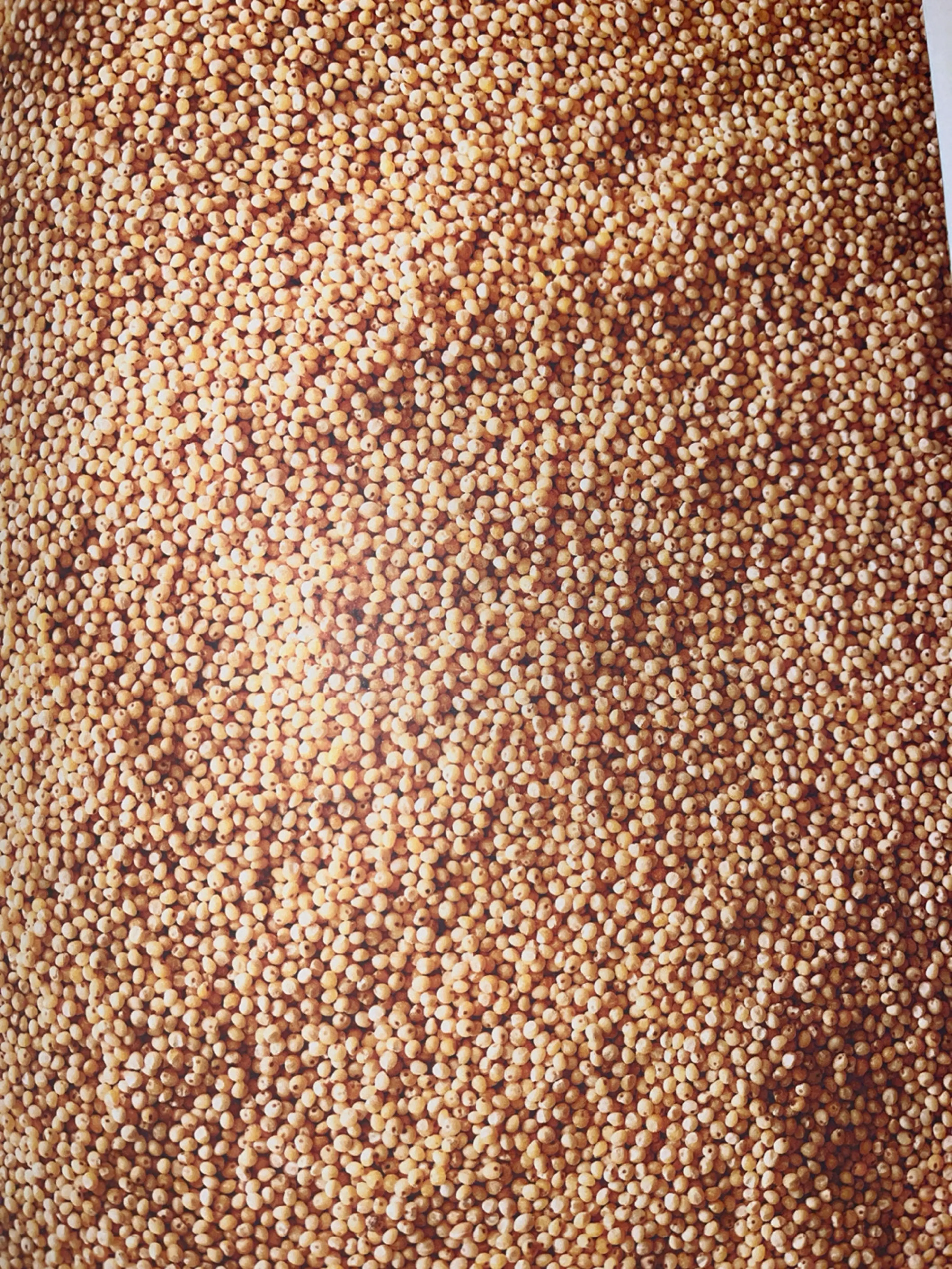 Millet