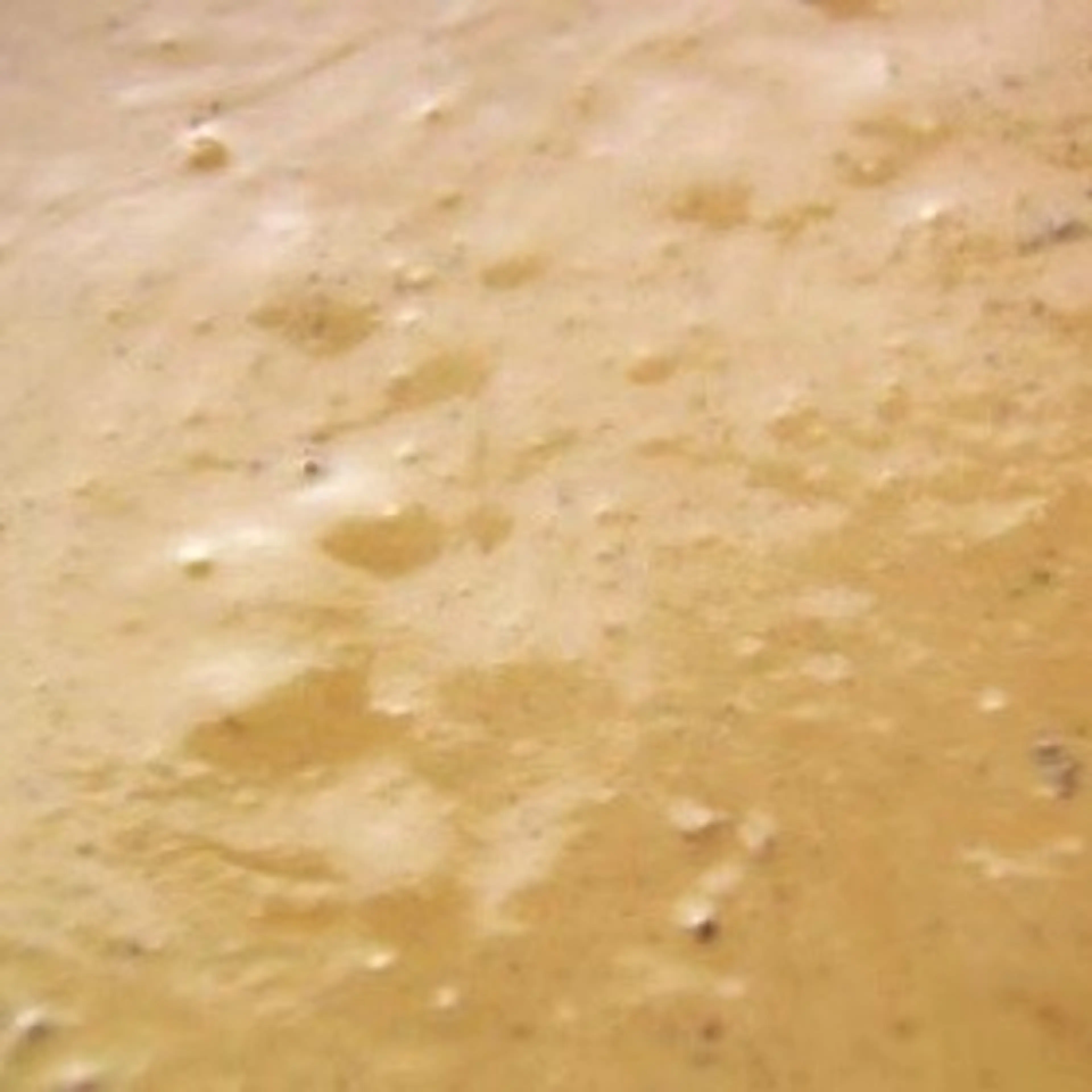 Ham Gravy