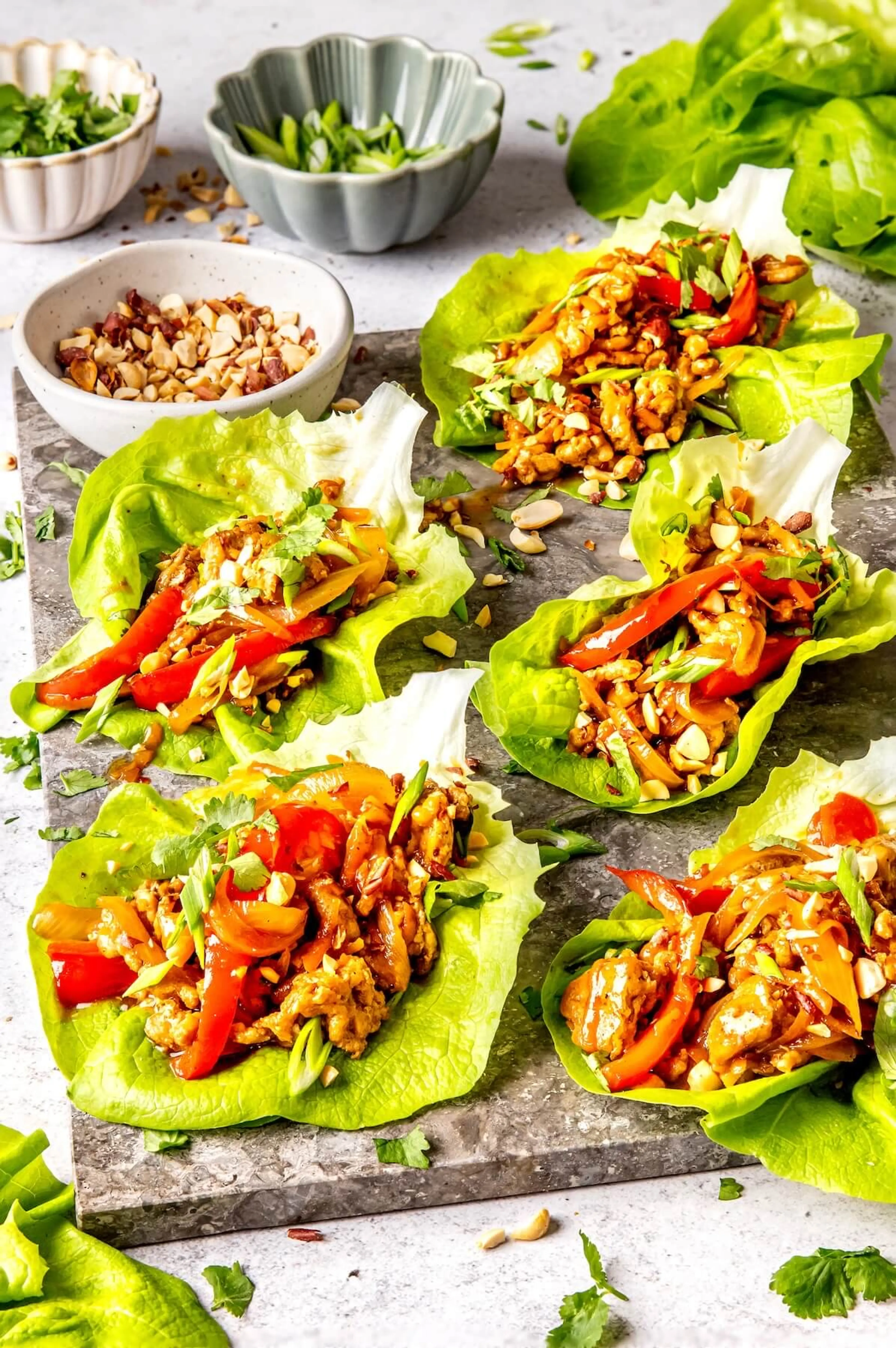STICKY SAUCY PORK LETTUCE WRAPS