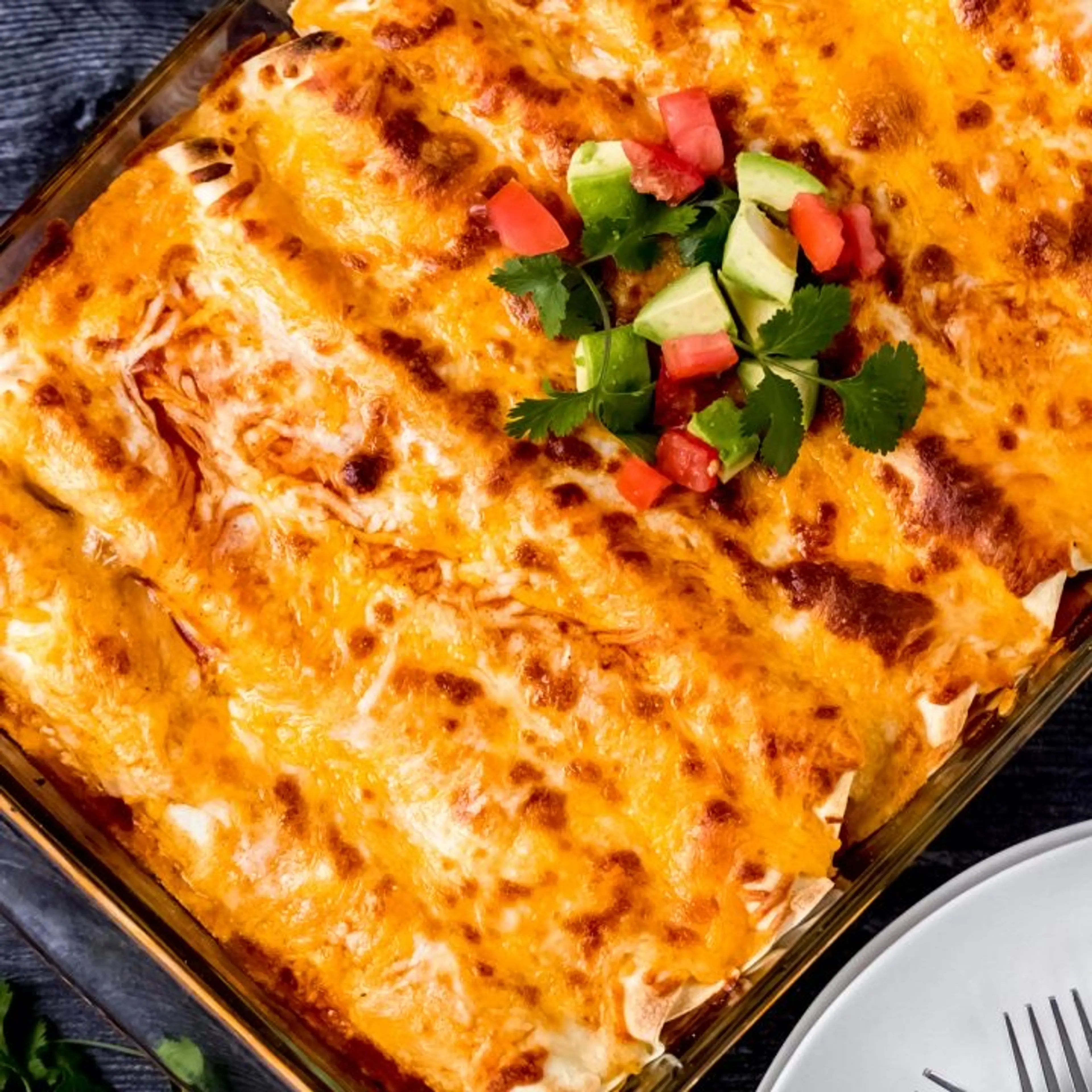 Easy Elk Enchiladas