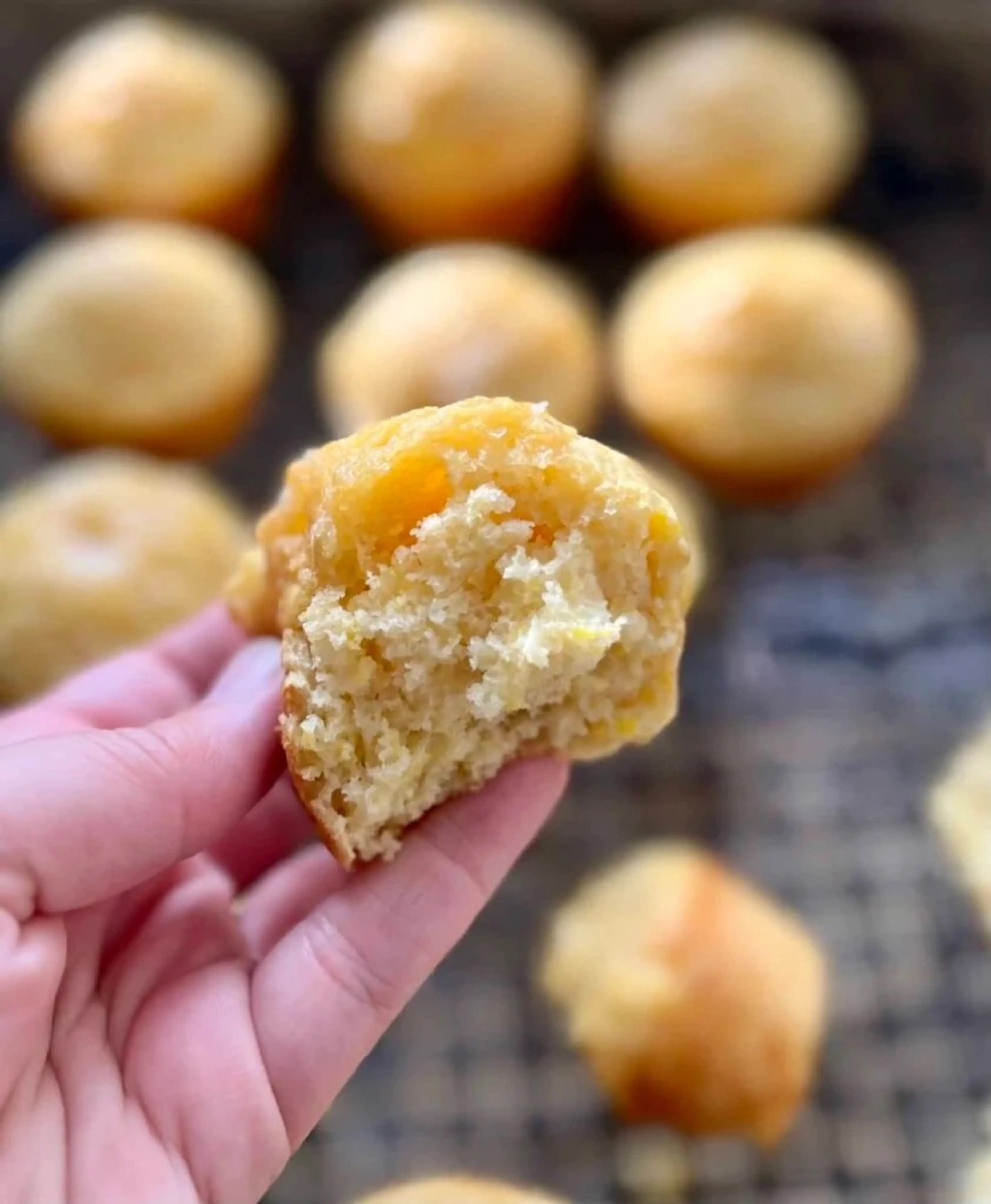 Sweet Corn Sourdough Muffins