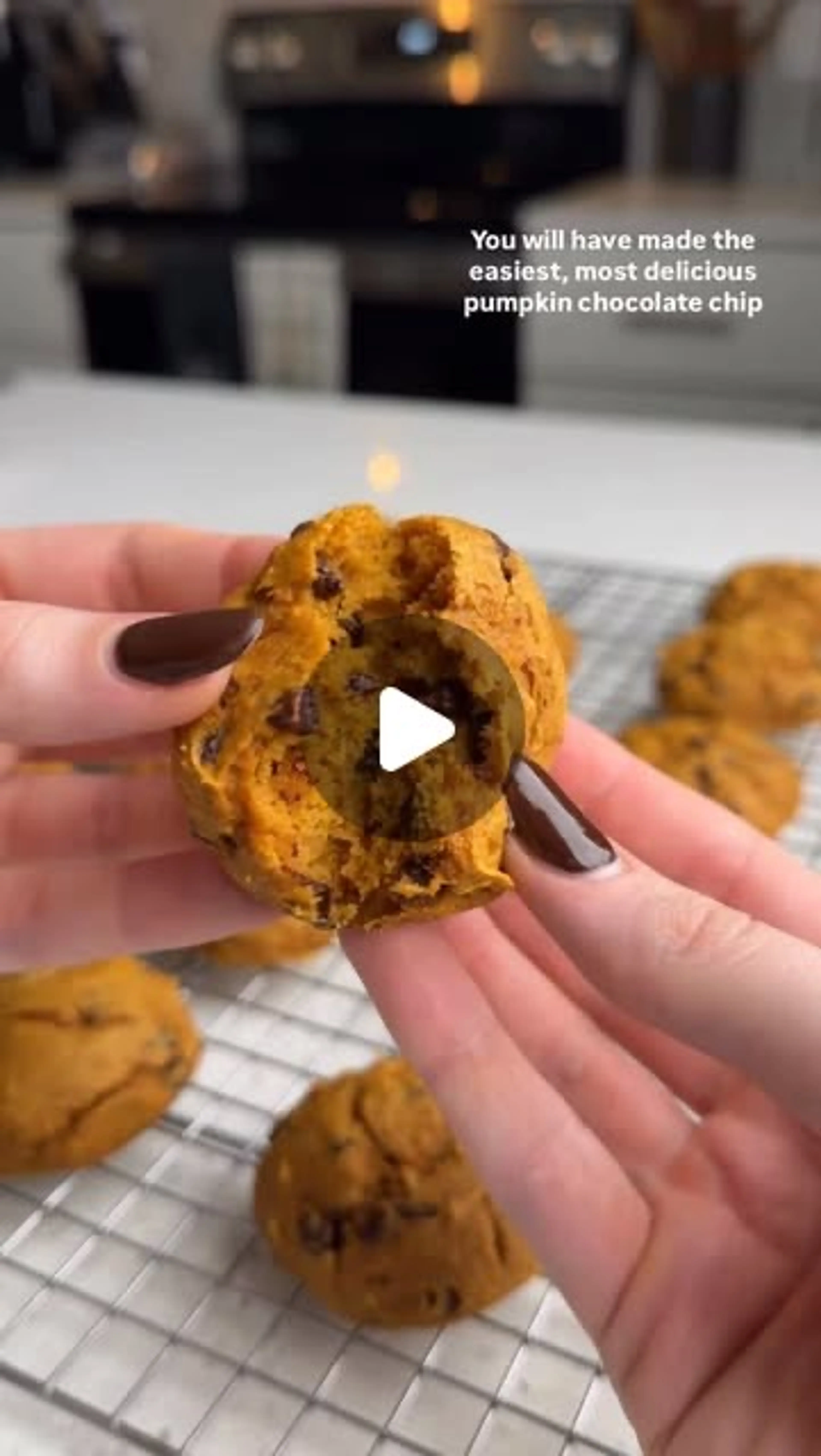 Pumpkin Choc Chip Cookies