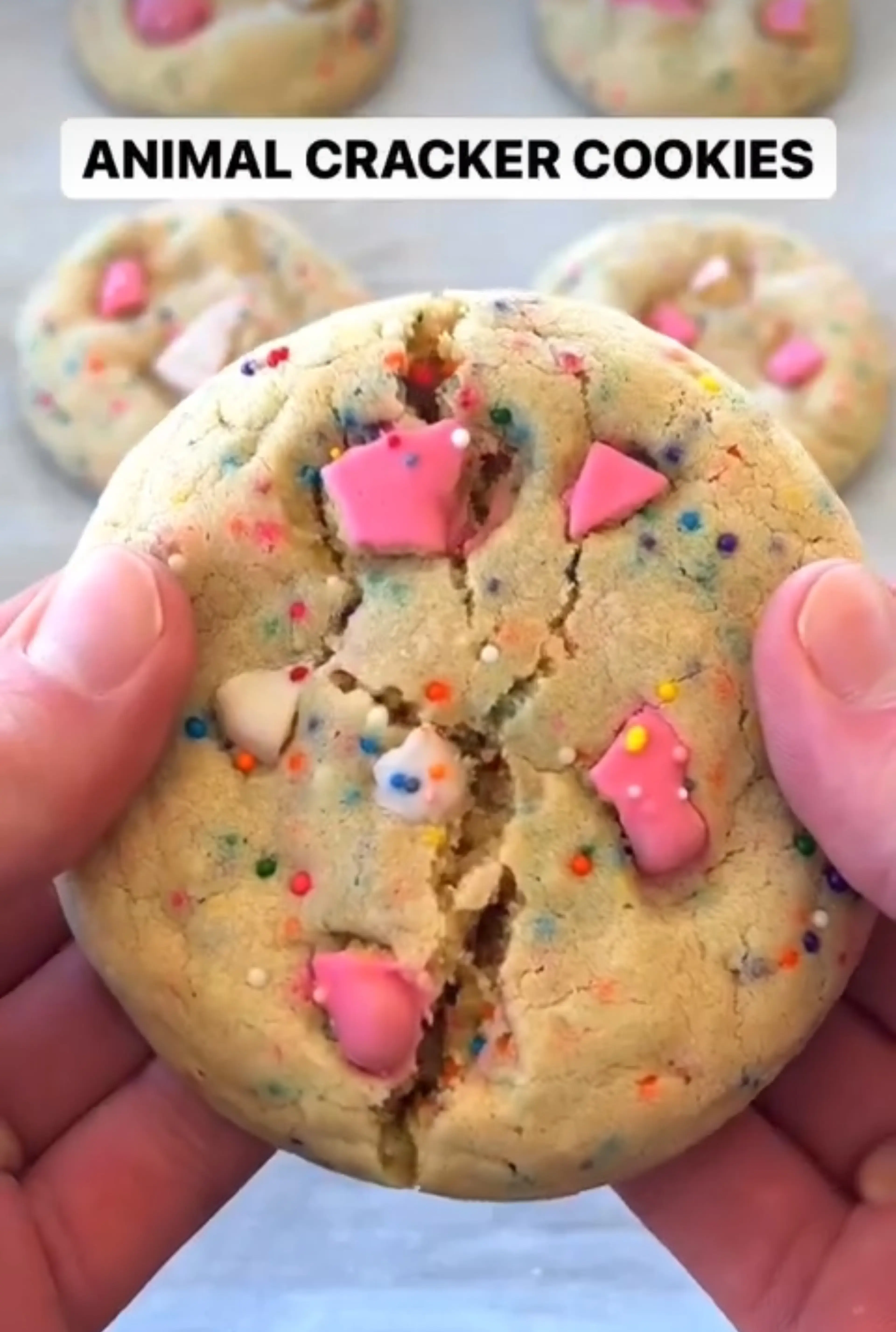 Animal Cracker Cookies