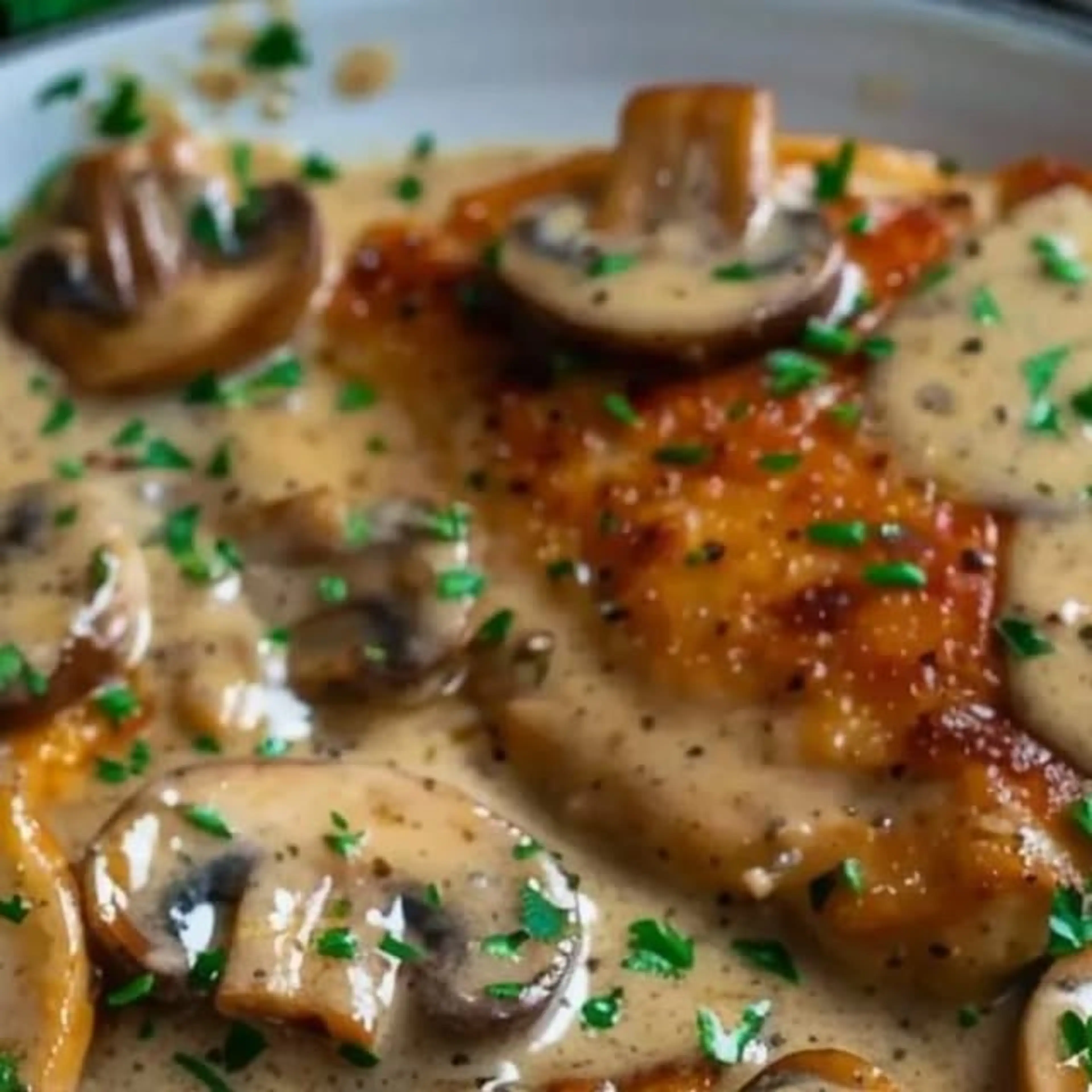 Chicken and Mushroom Skillet in a Creamy Asiago and Mustard