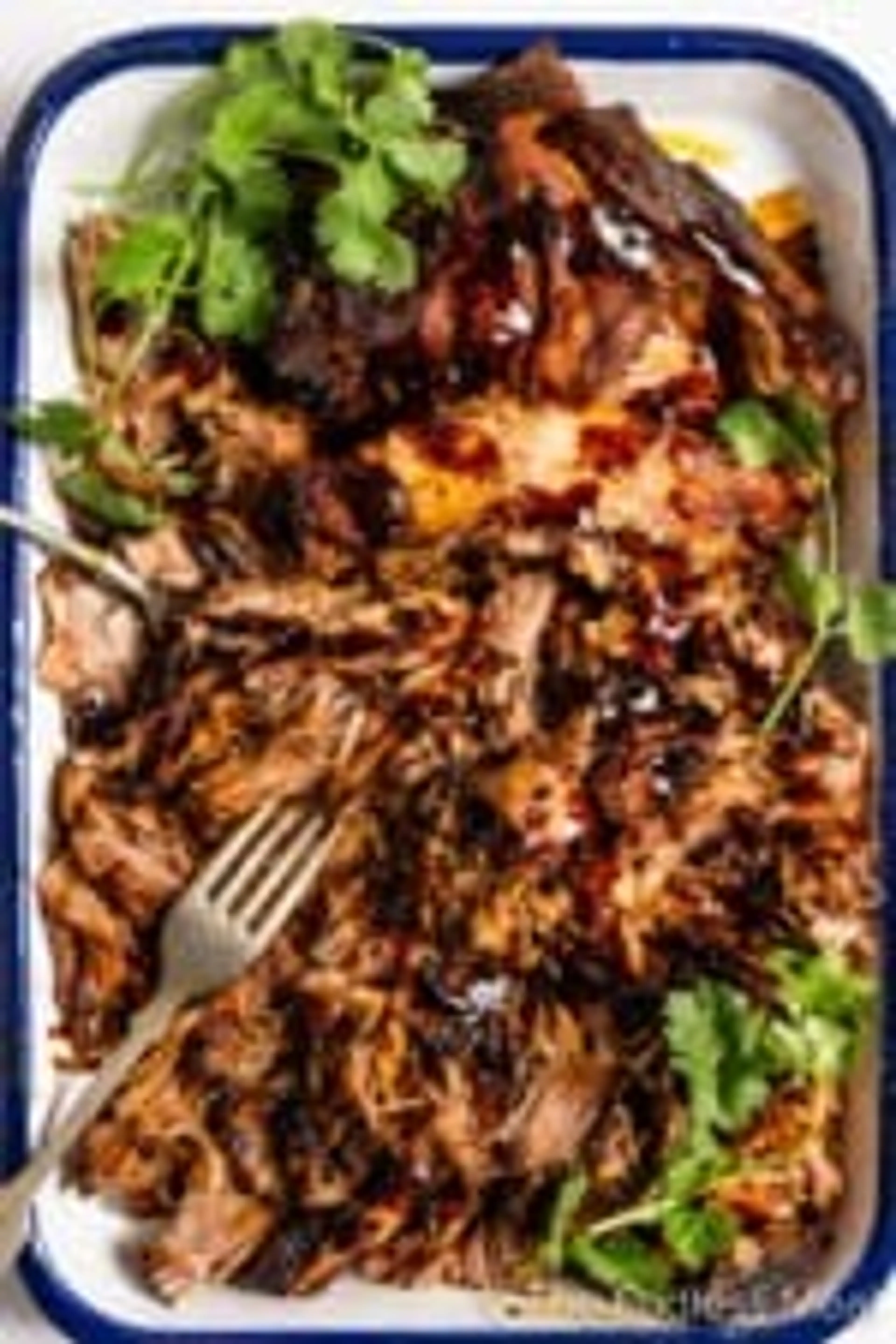 Gochujang Korean Pulled Pork (chicken)