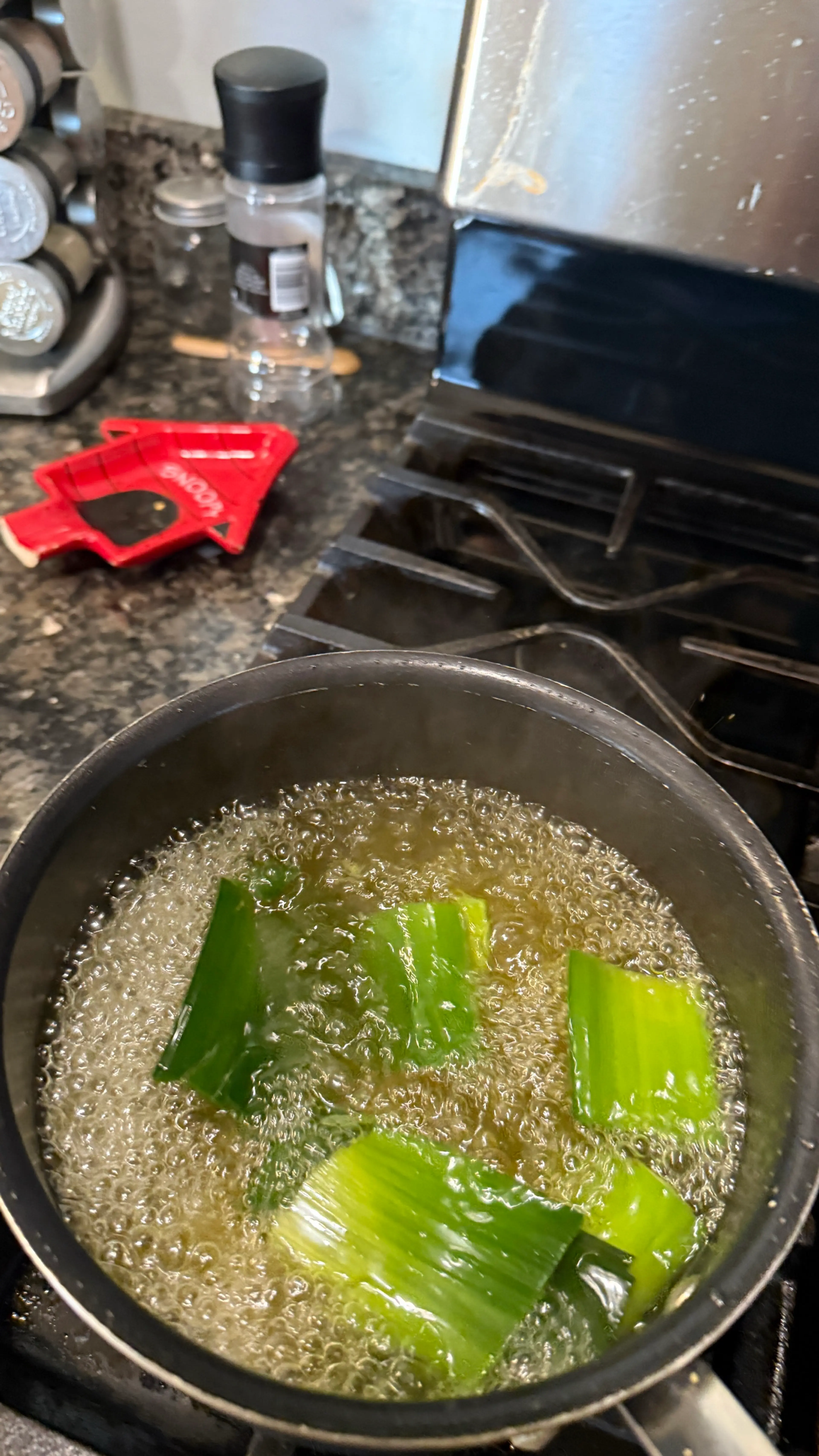 Ginger Leek Soup