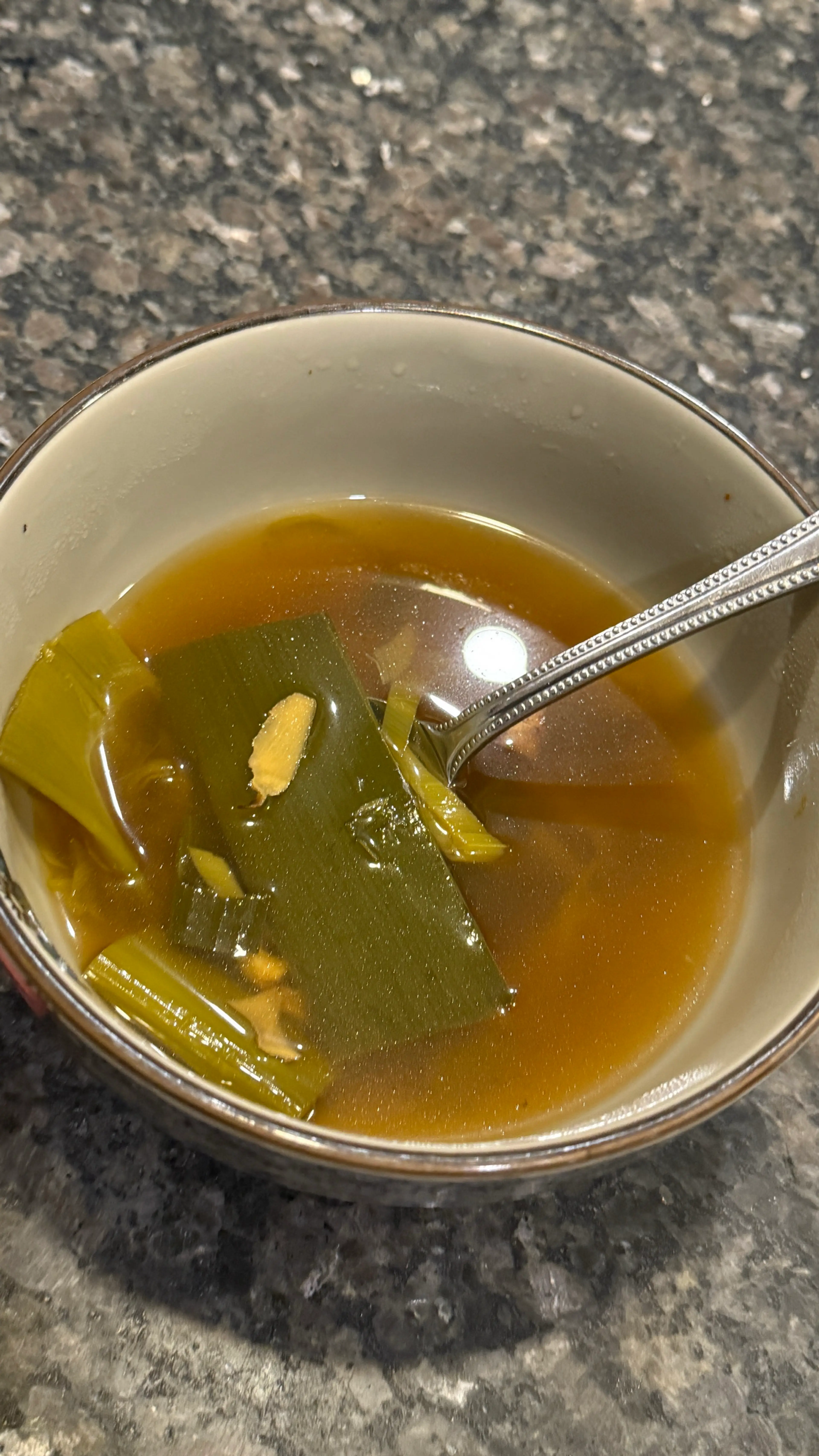Ginger Leek Soup