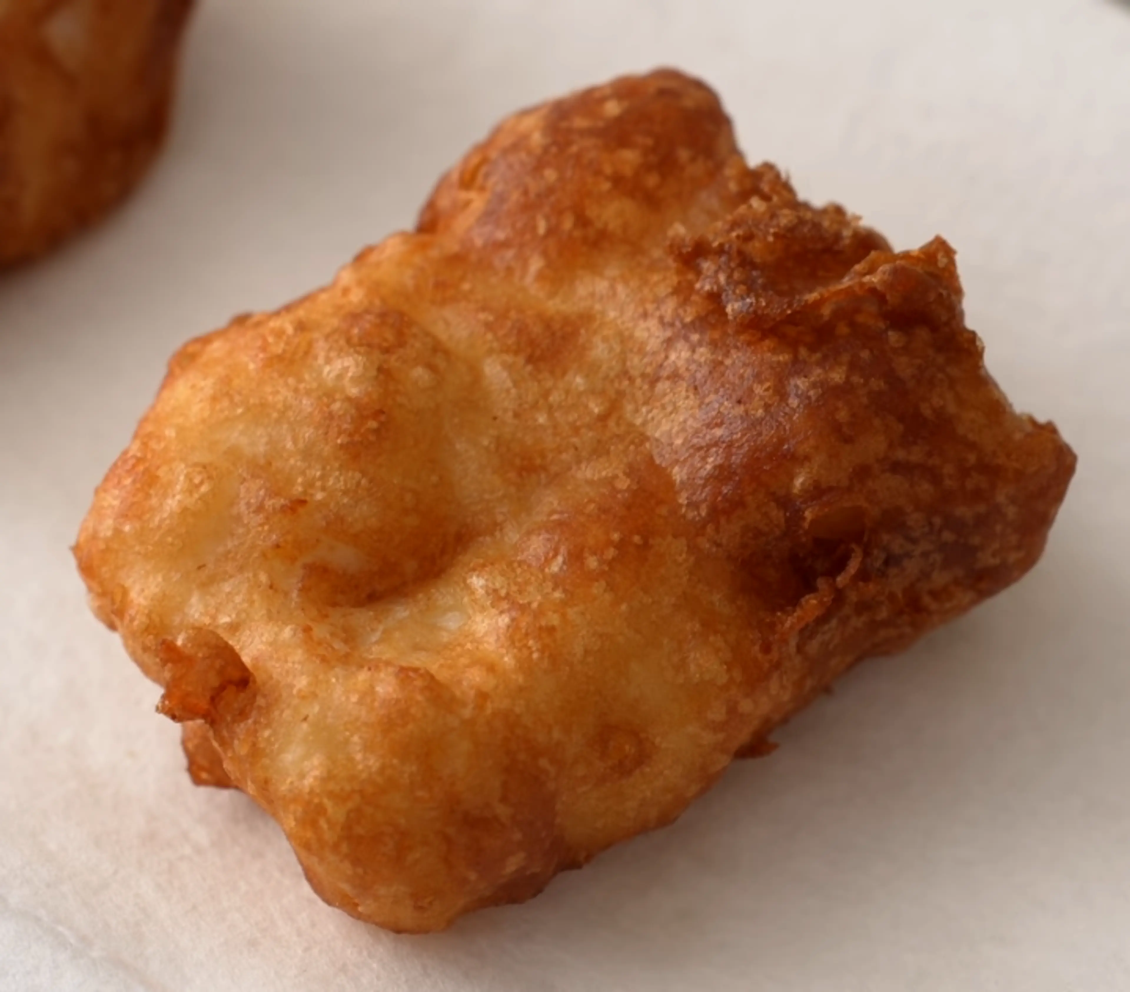 Fried Fish Filets