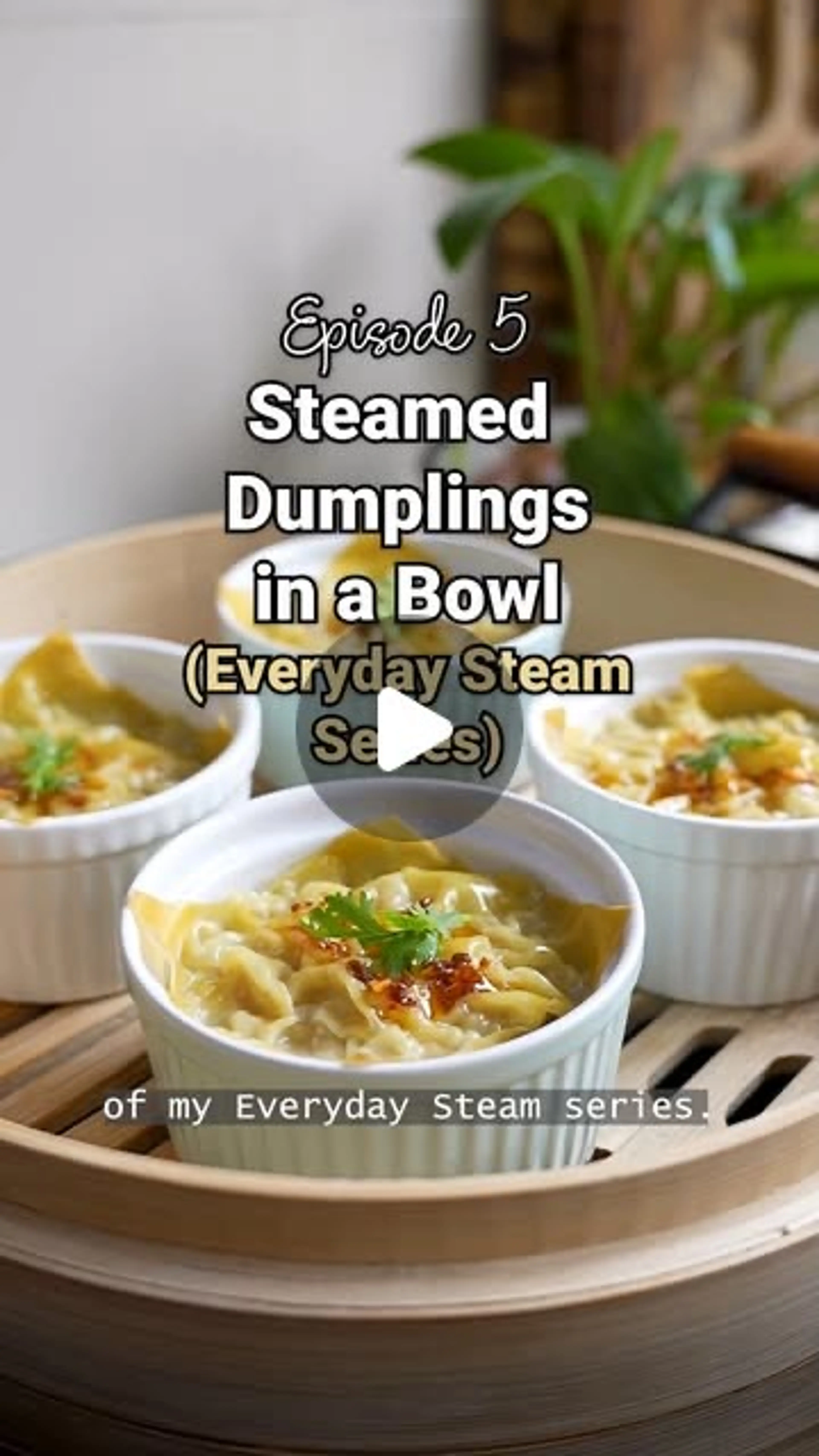 Asian Dumpling Bowl