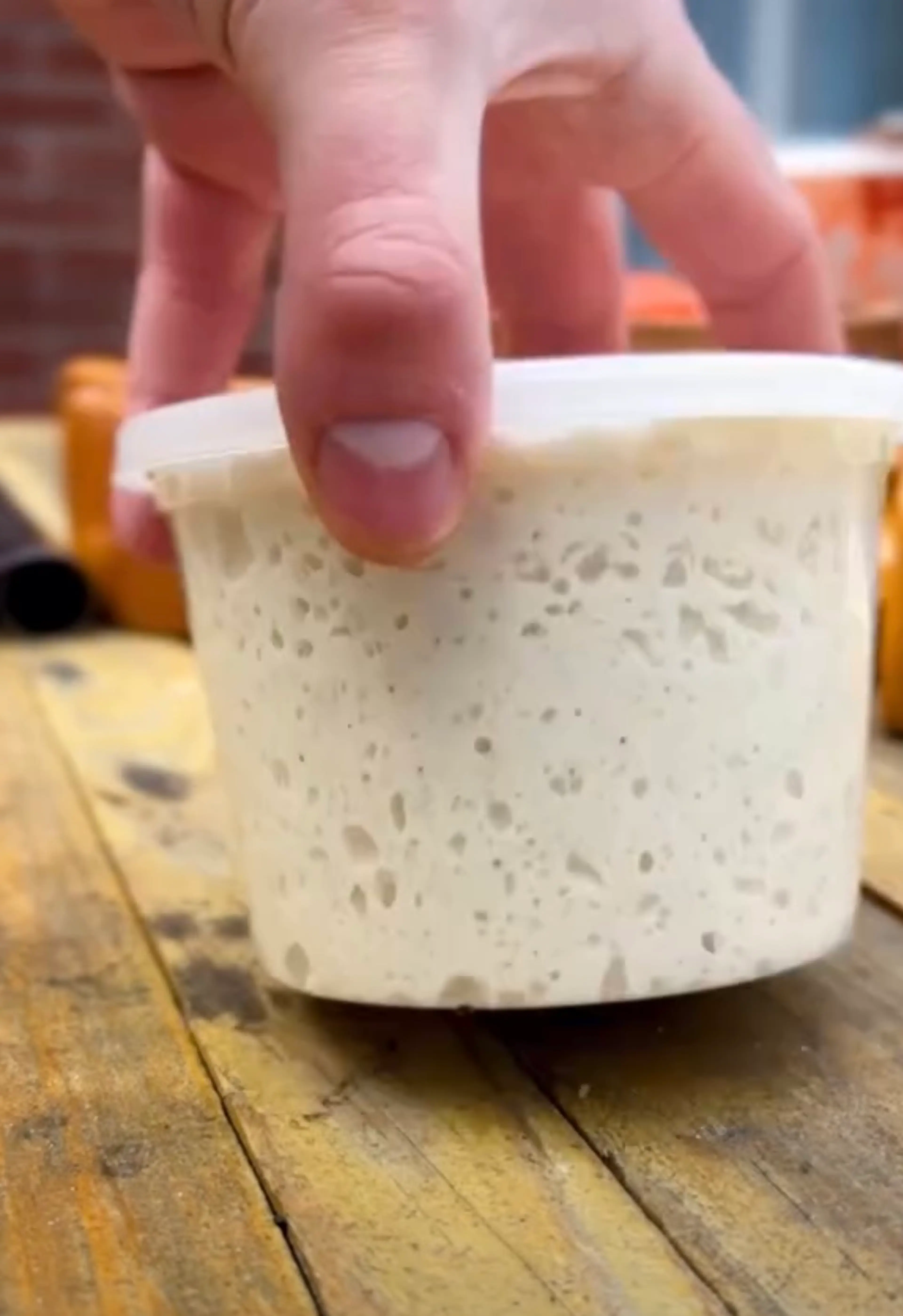 Best Pizza Dough