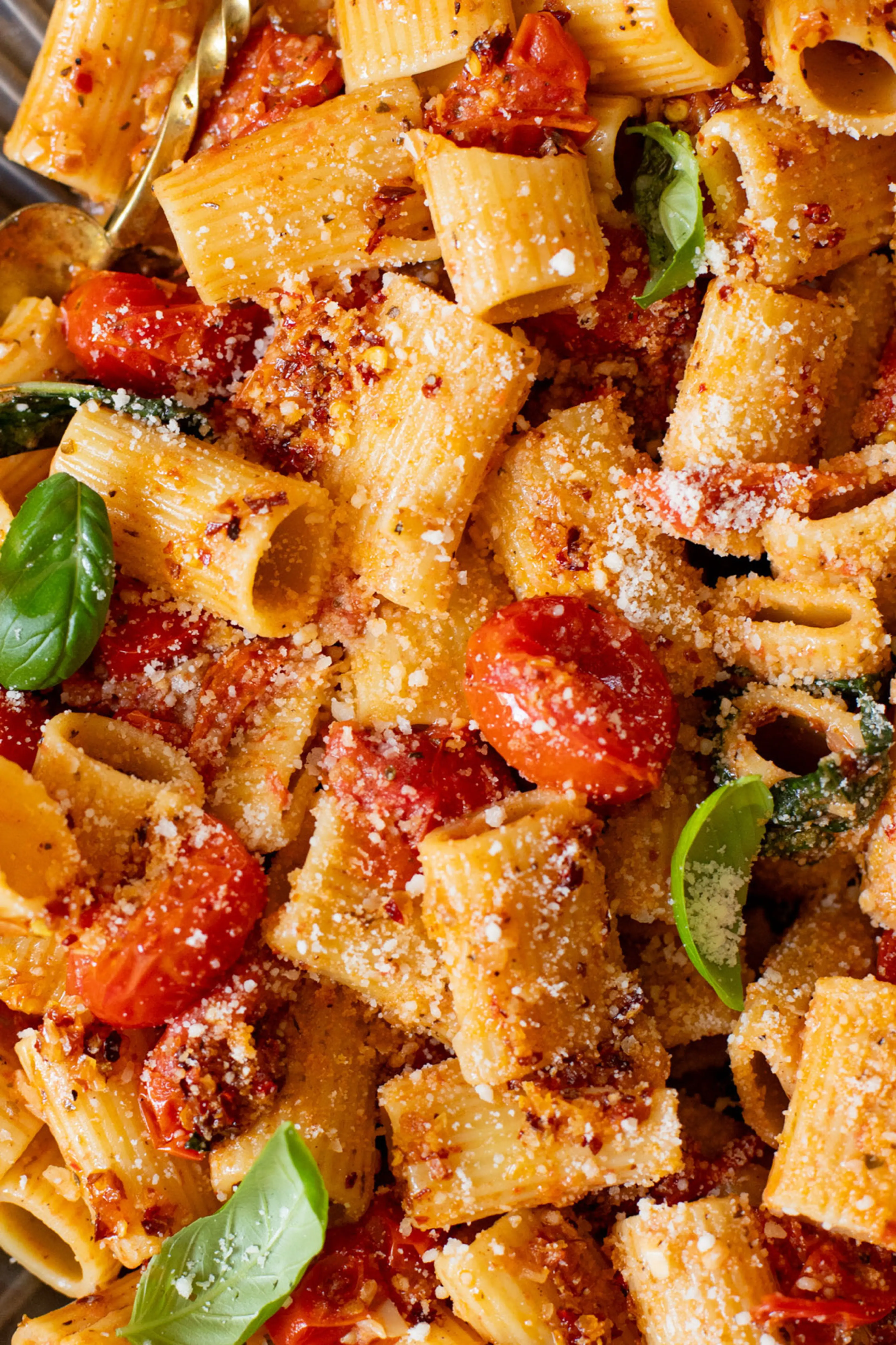 creamy tomato pasta