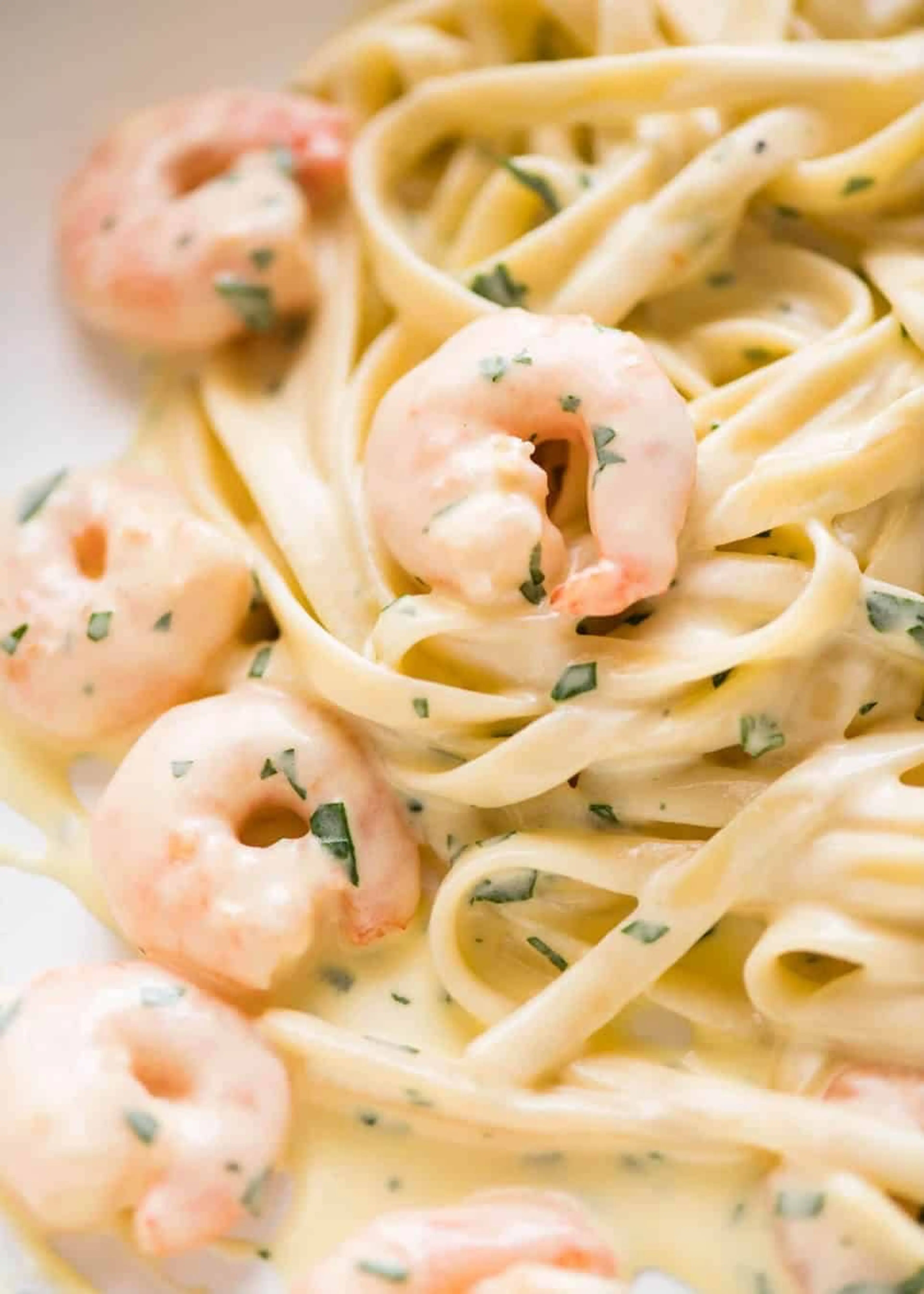 Creamy Garlic Prawn Pasta
