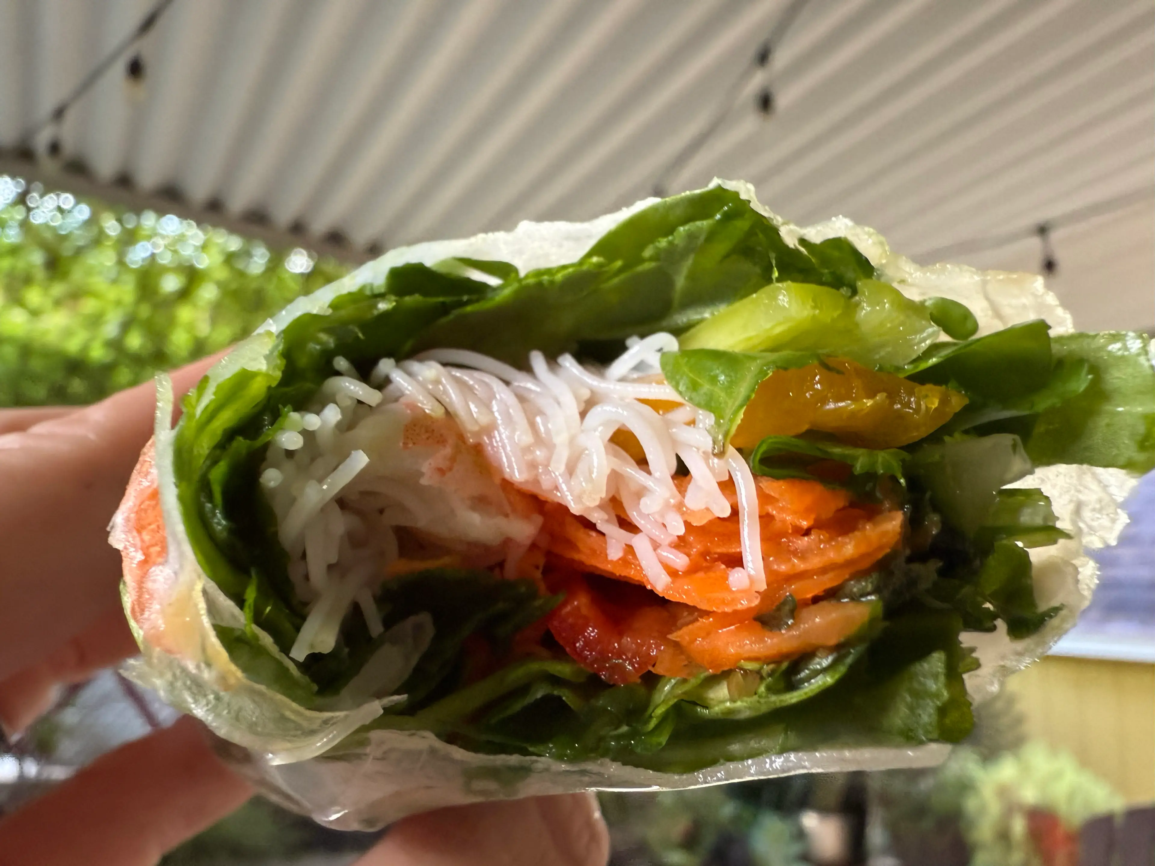 Fresh Spring Rolls