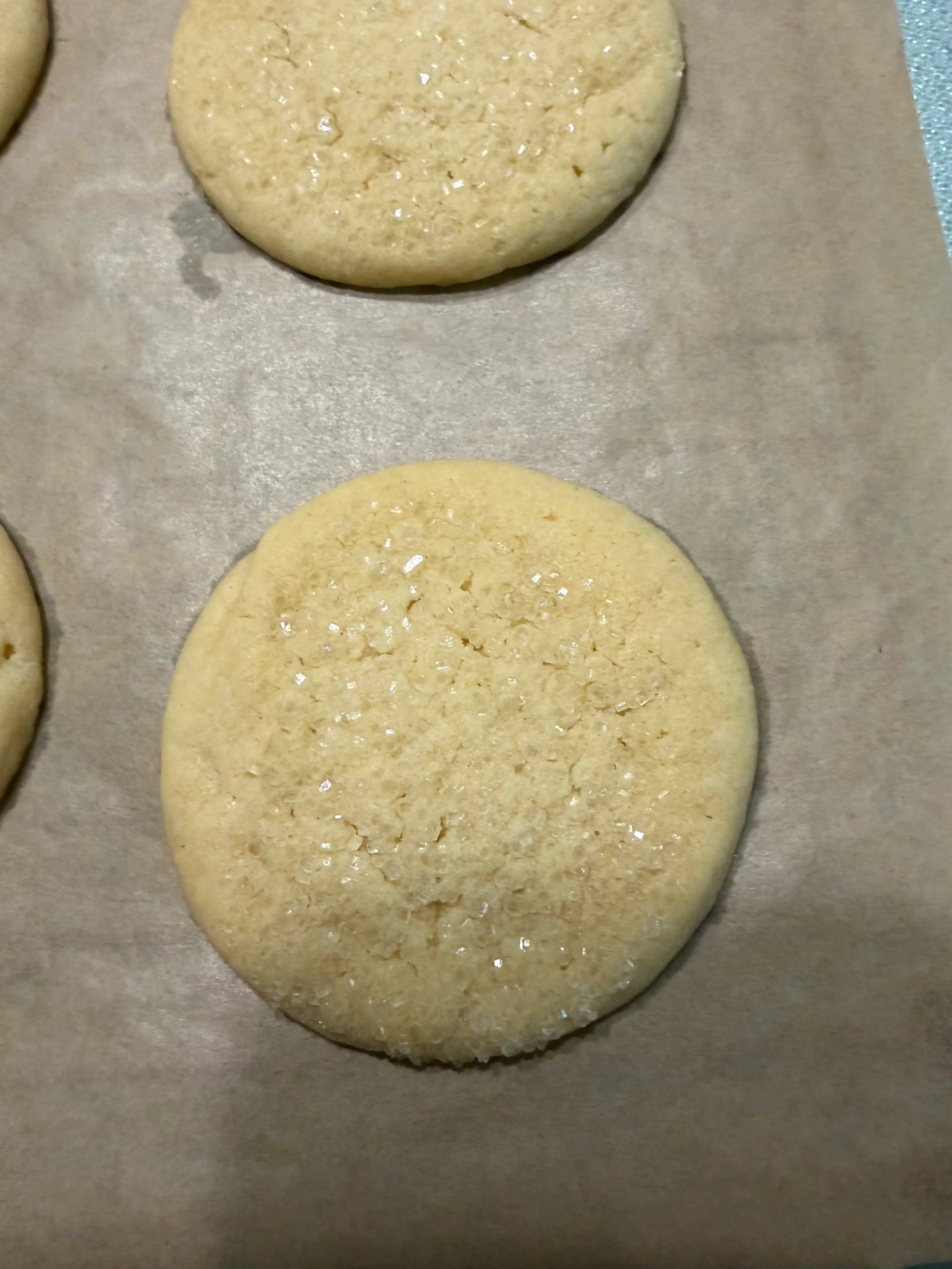 SUGAR COOKIES - SUGAROLOGIE