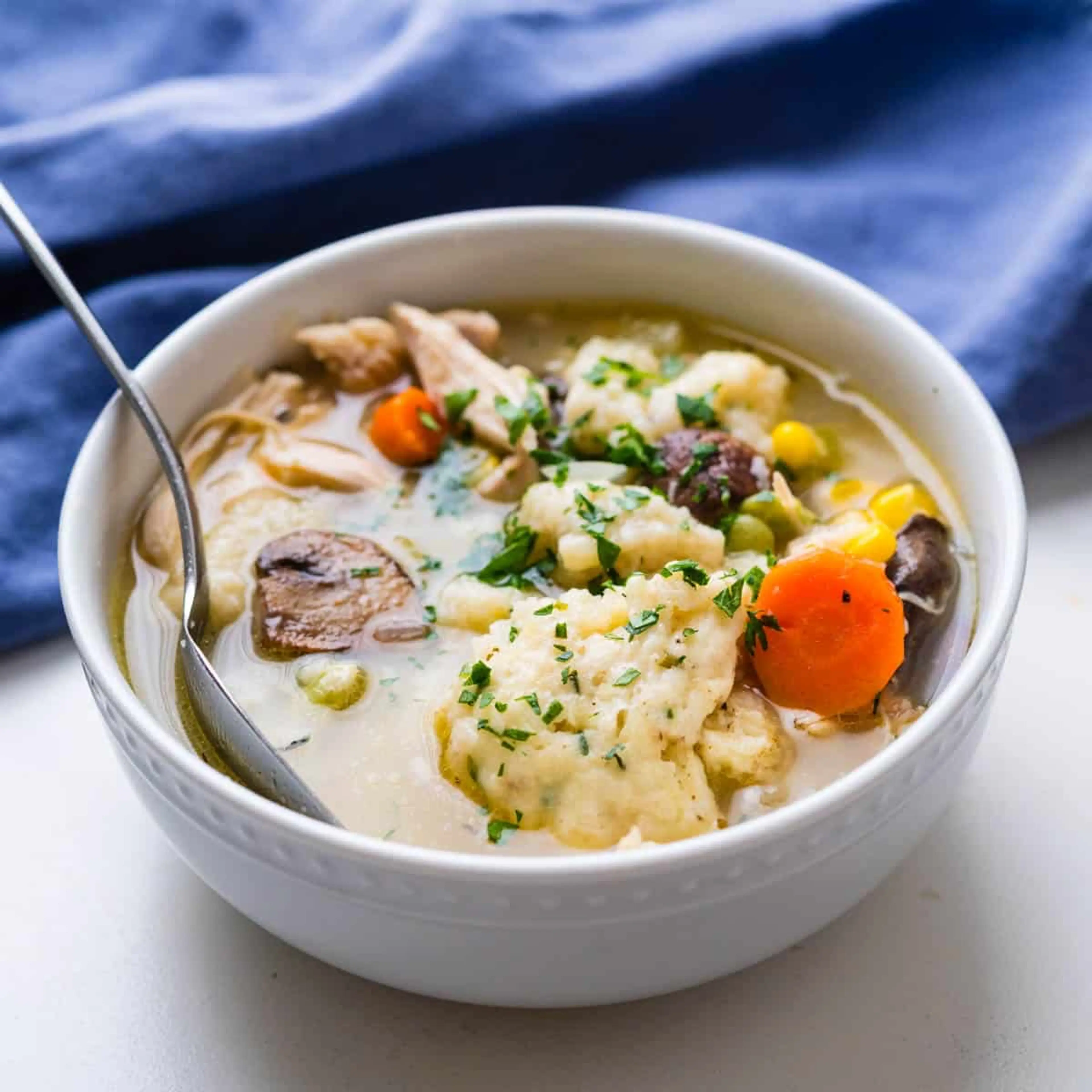 Bisquick Chicken and Dumplings