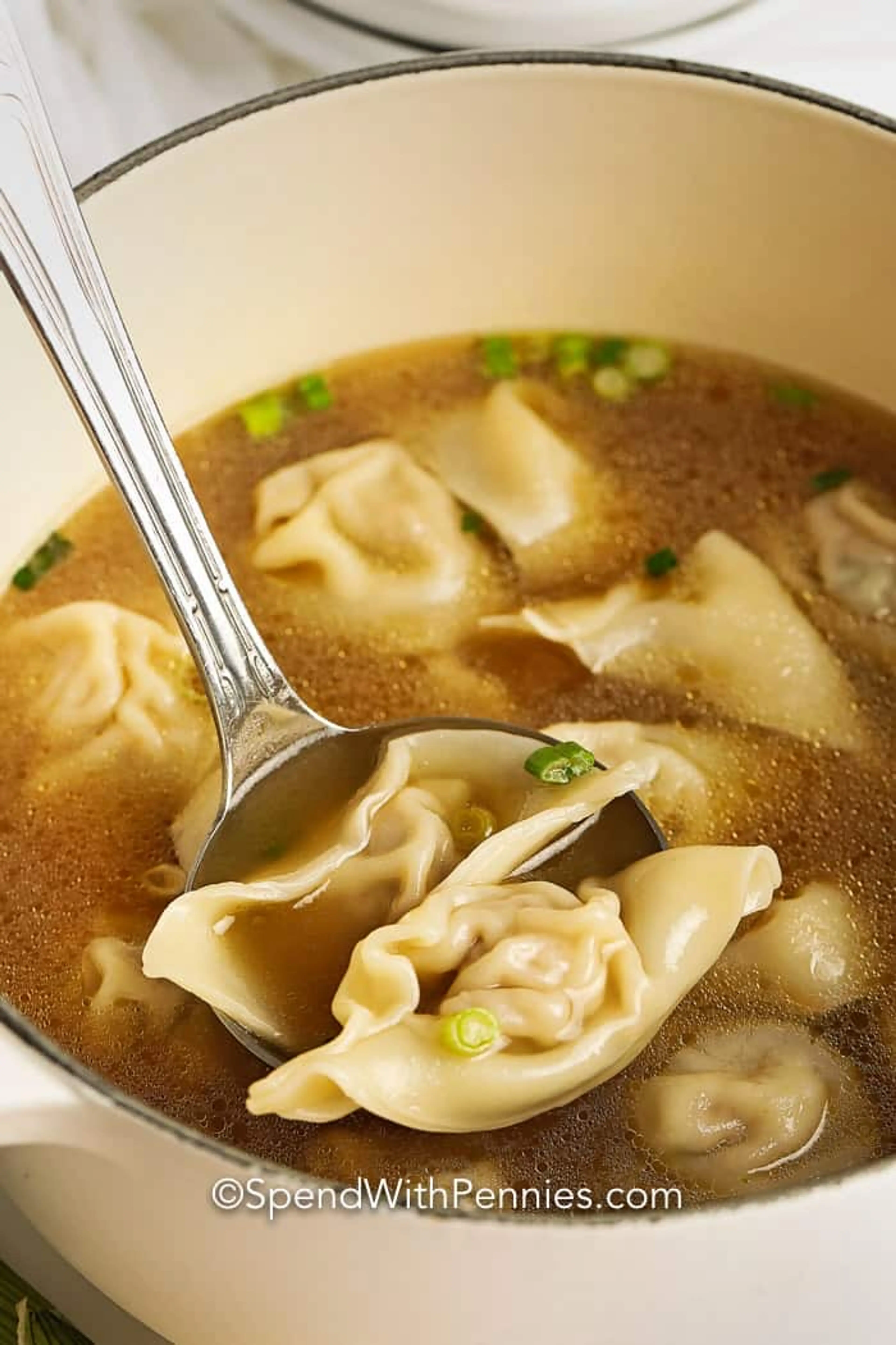 Homemade Wonton Soup