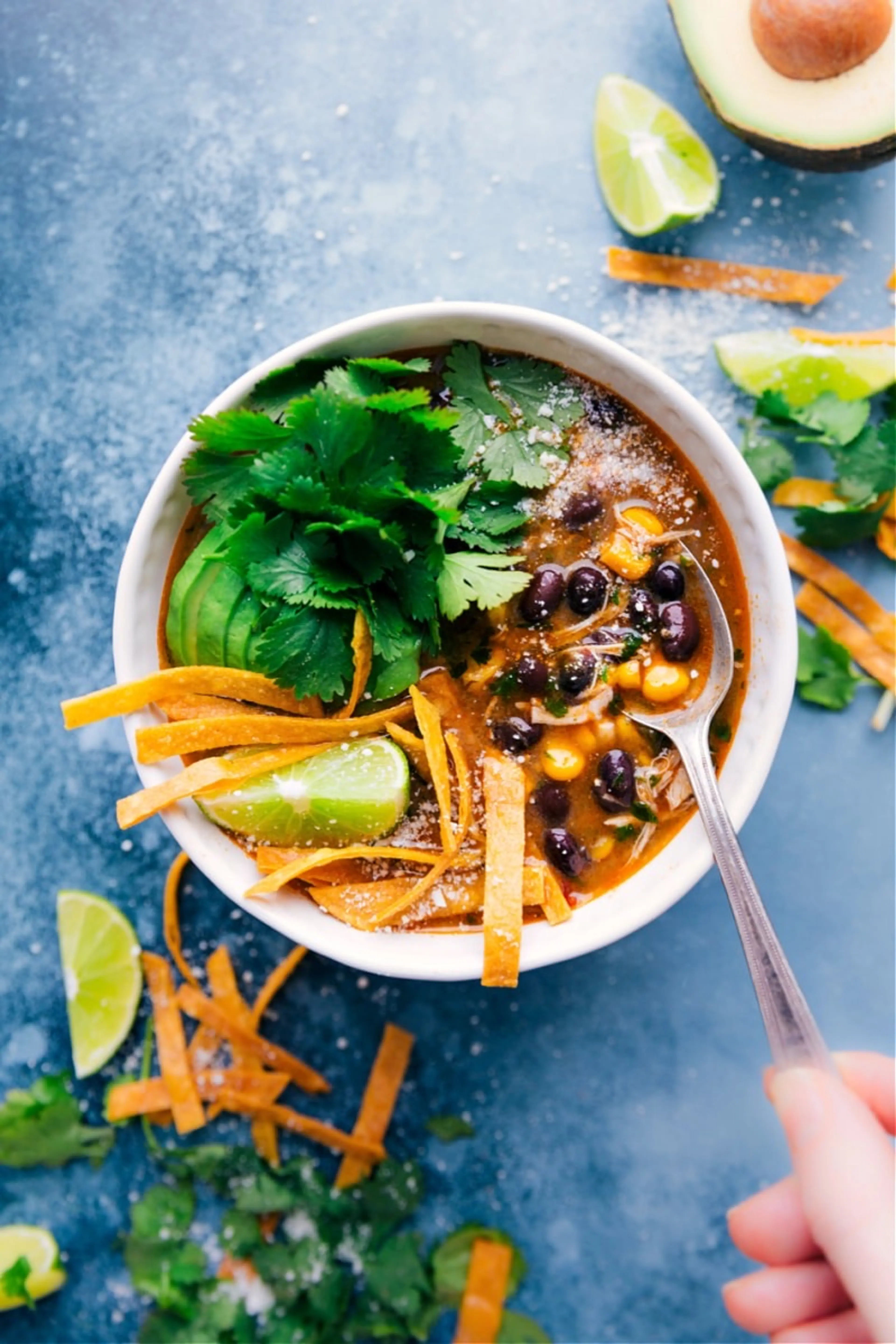 Salsa Verde Chicken Soup