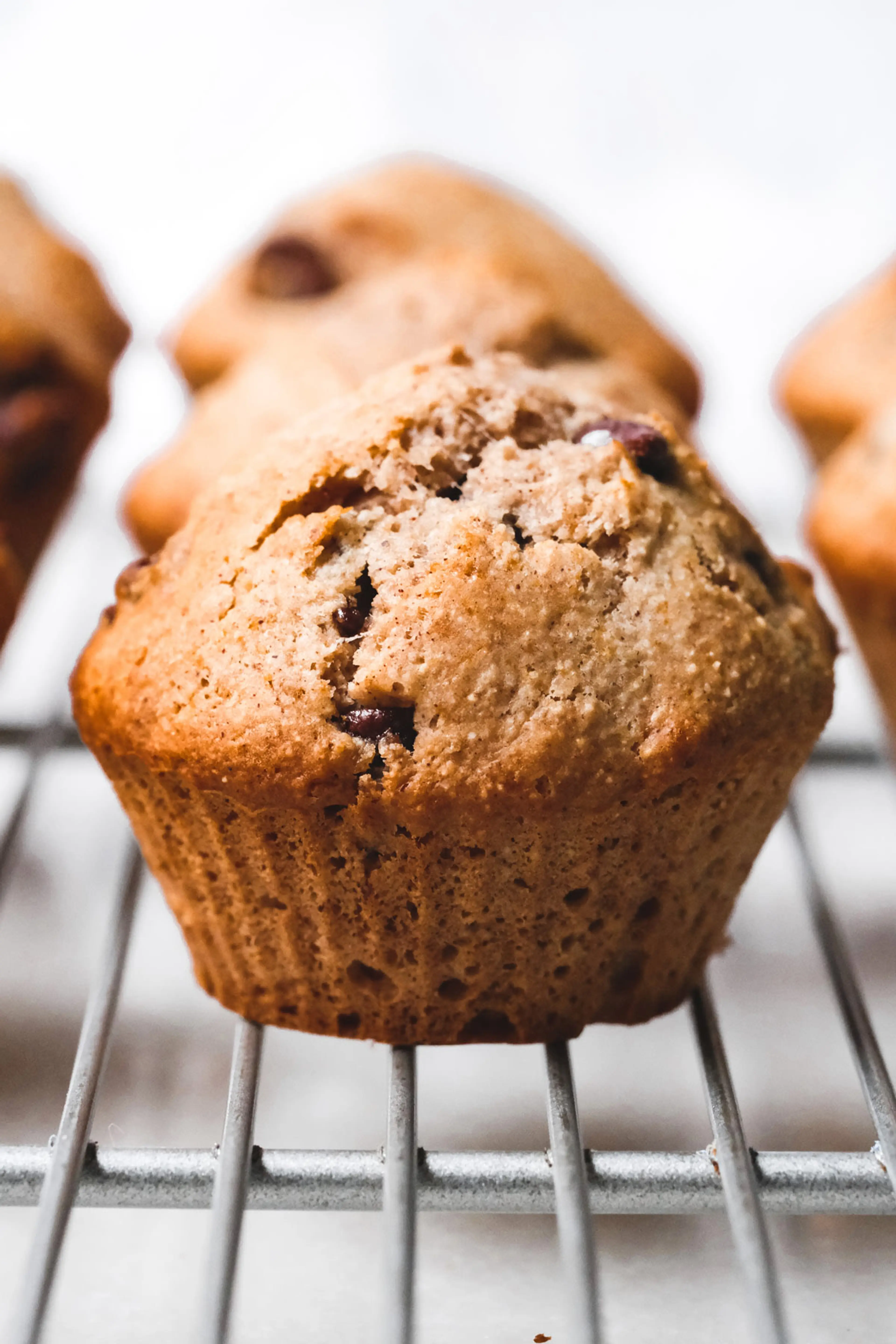 Sourdough Discard Chocolate Chip Muffins