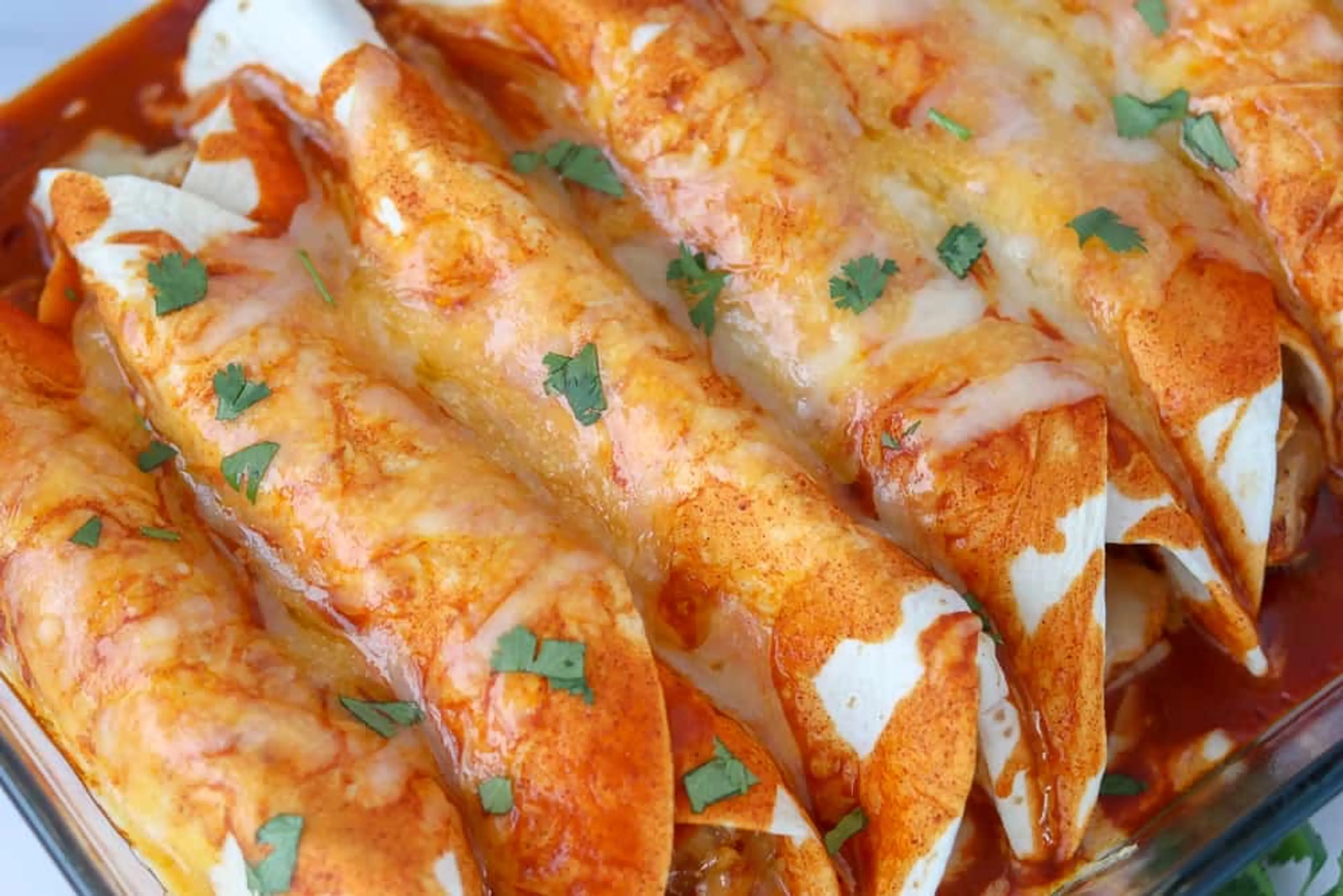 Low Carb Chicken Enchiladas