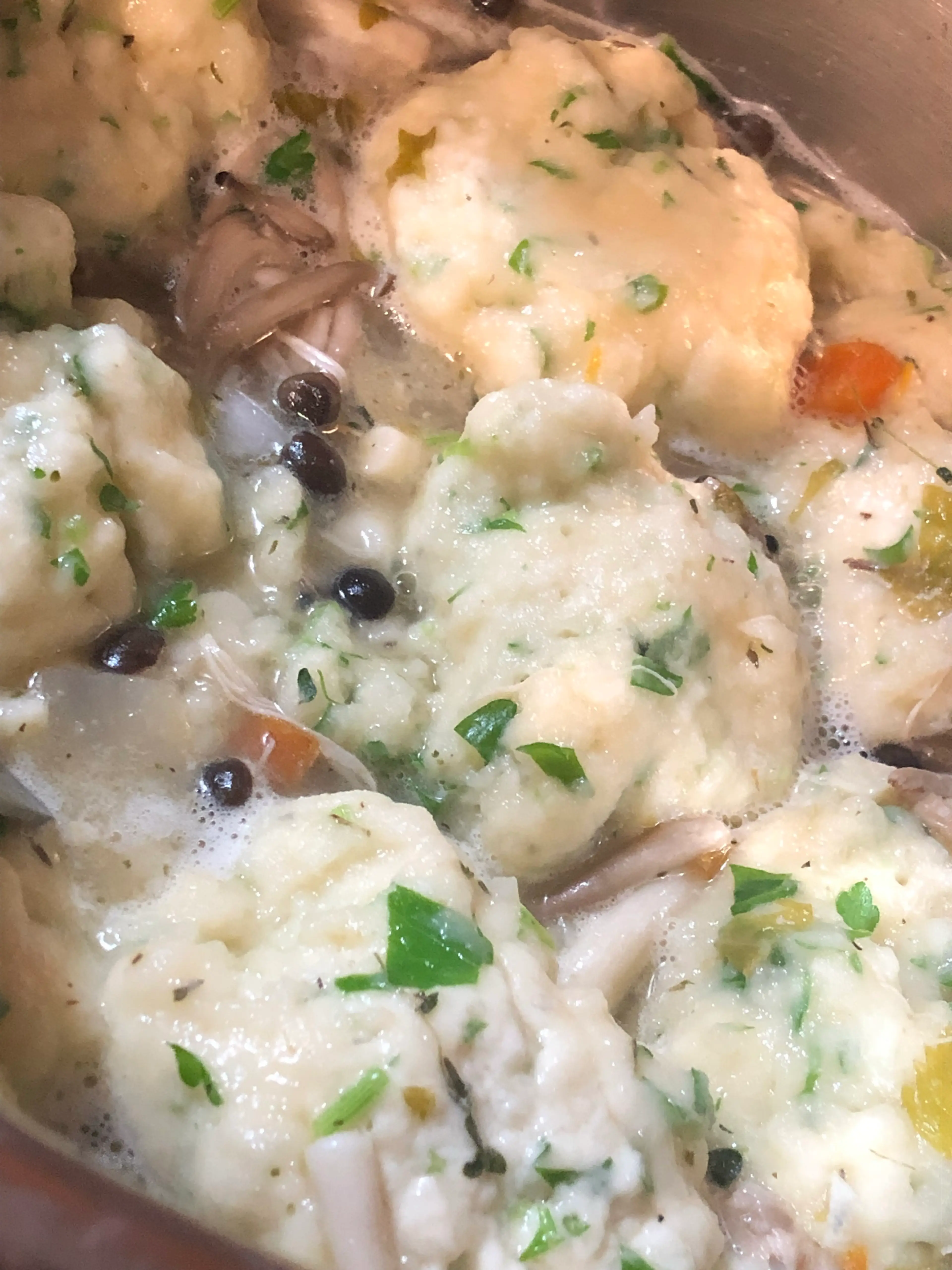 Chicken & Dumpling (IP)