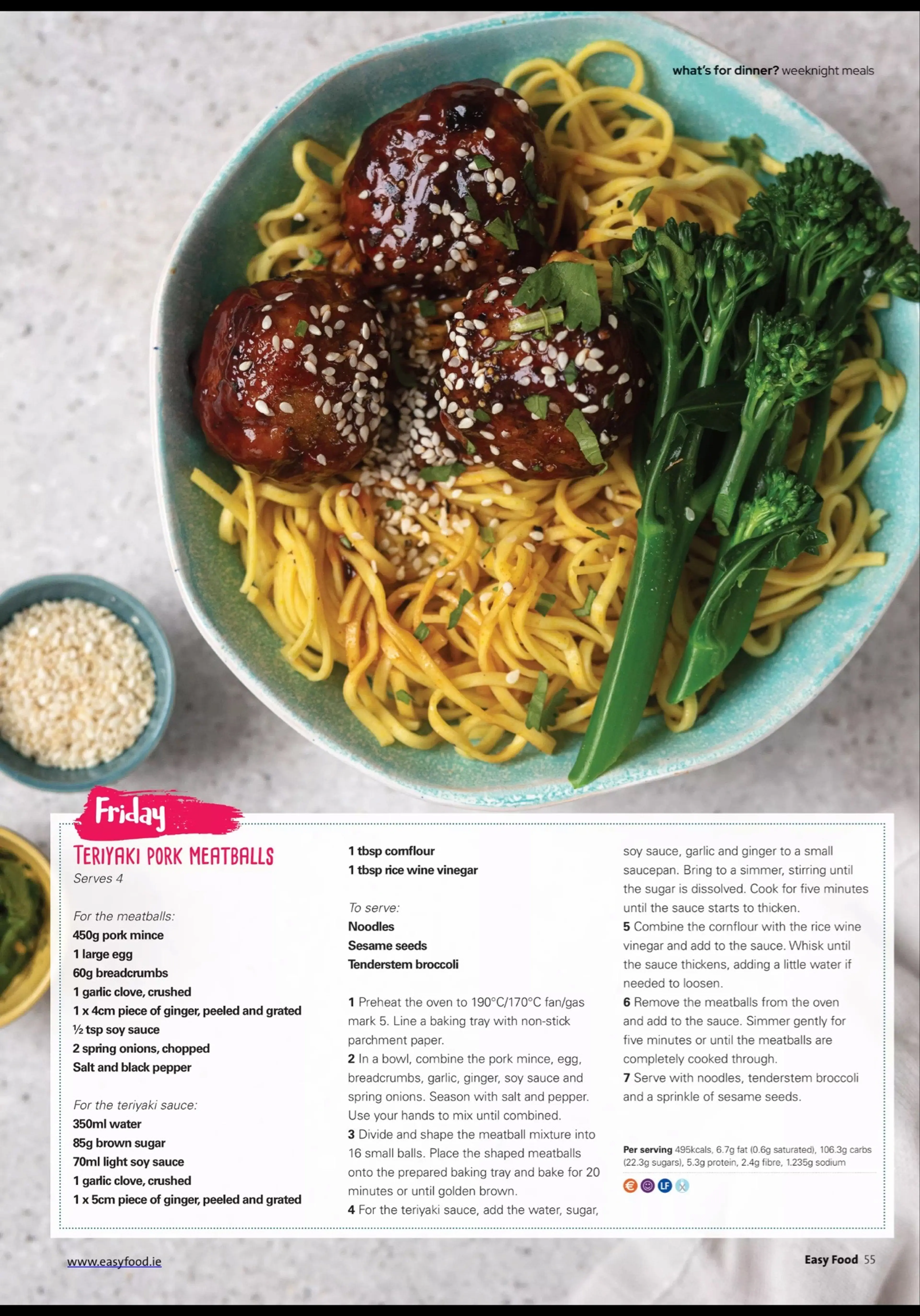 TERIYAKI PORK MEATBALLS