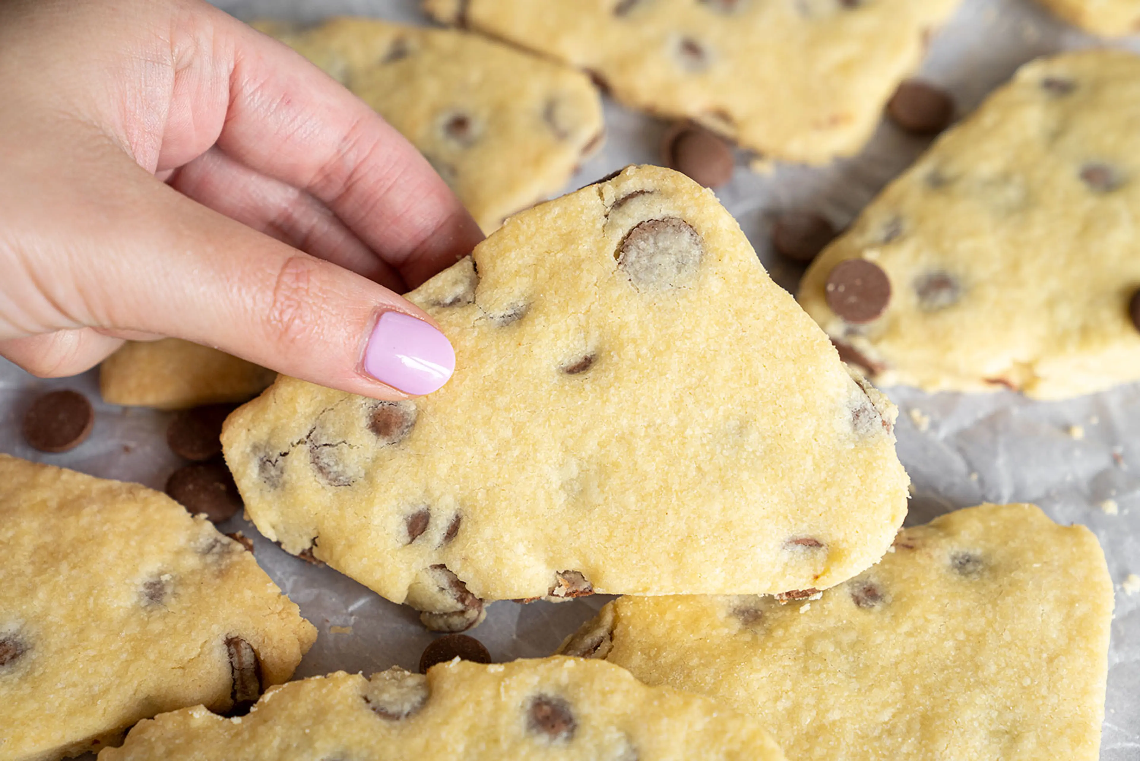4-Ingredient Gluten-free Choc Chip Shortbread Recipe (dairy